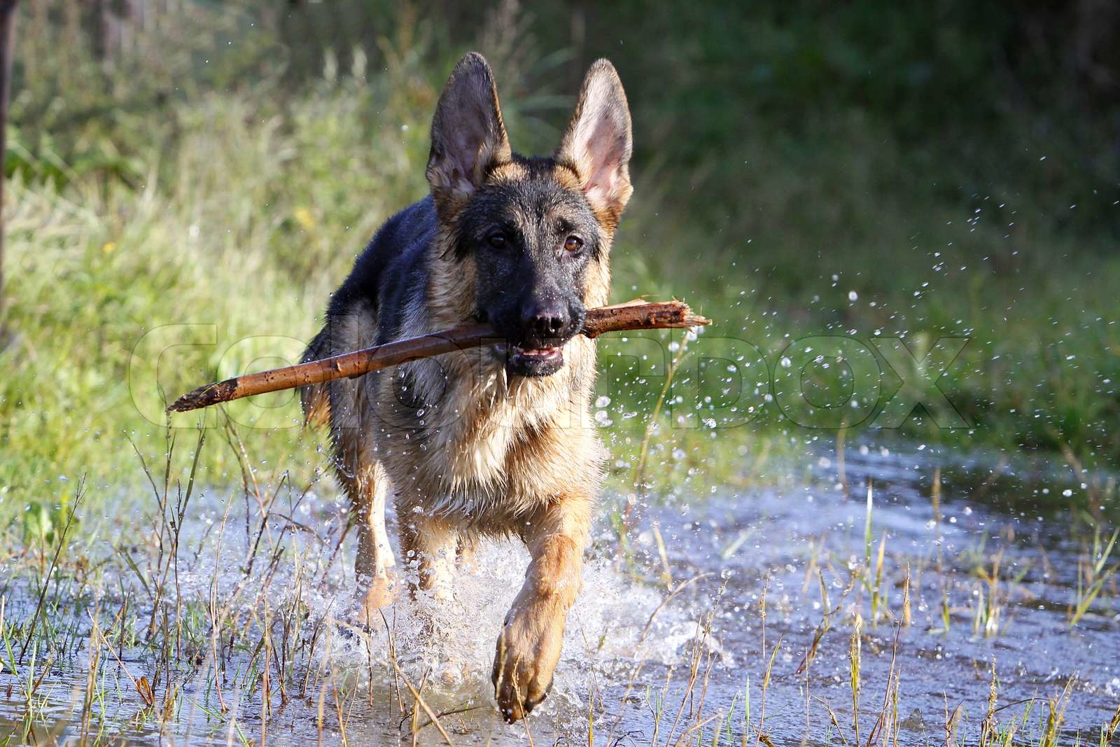 Schäferhund-Figur Mit Sack – Handbemalt Aus Ton, 14,5 Cm Hoch, Spanisches Kunsthandwerk
