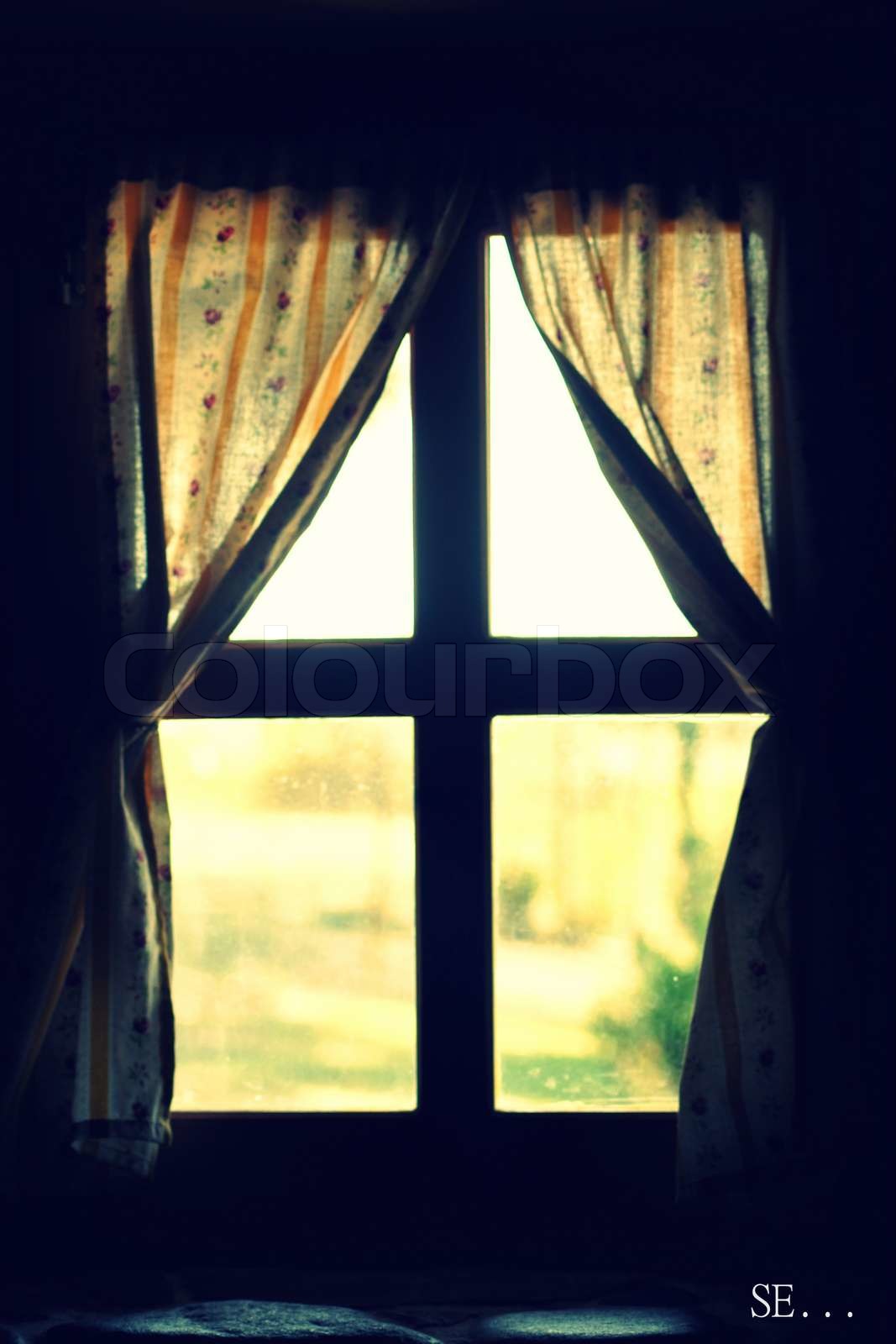 Brejão Stock image Colourbox