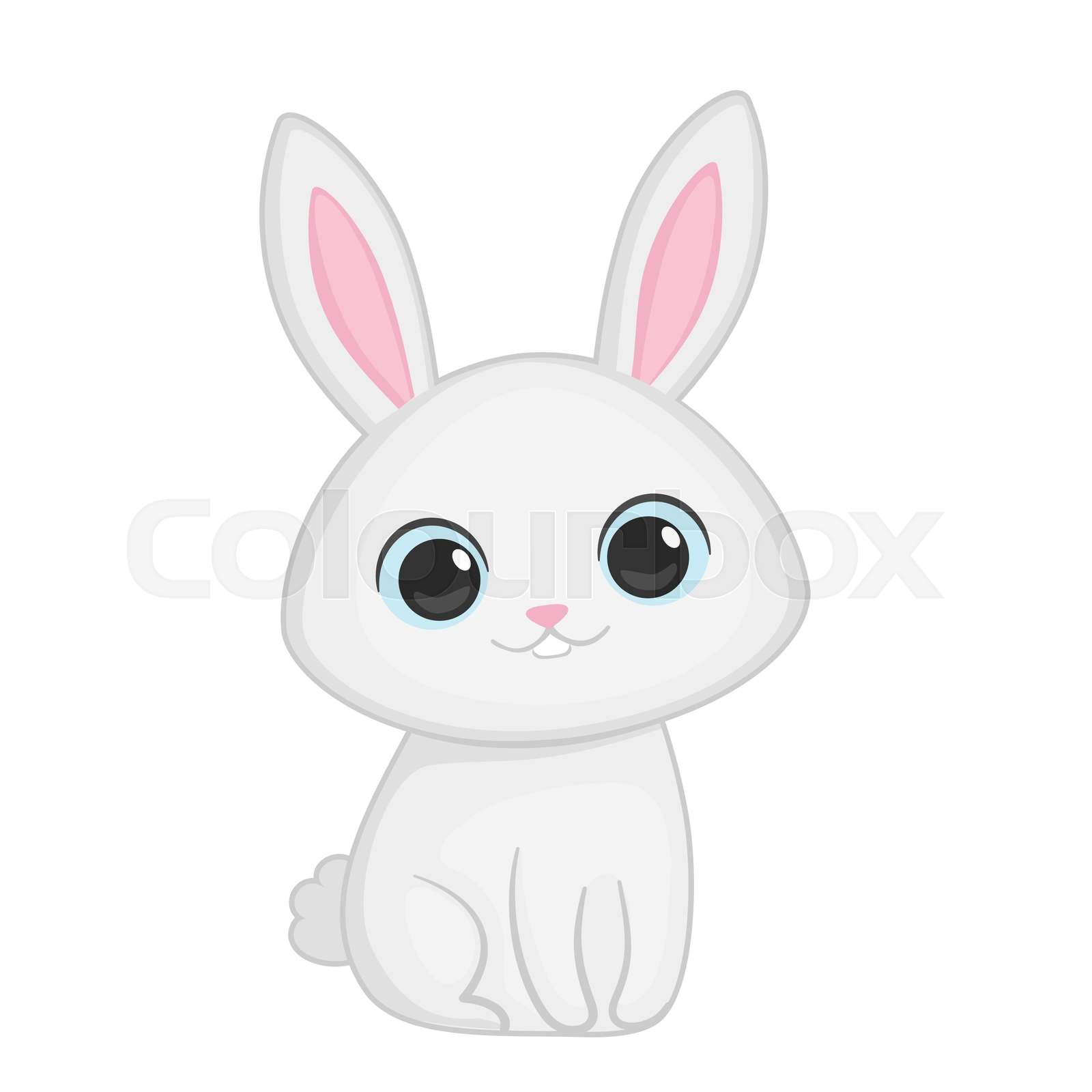 Cute White Rabbit Pictures