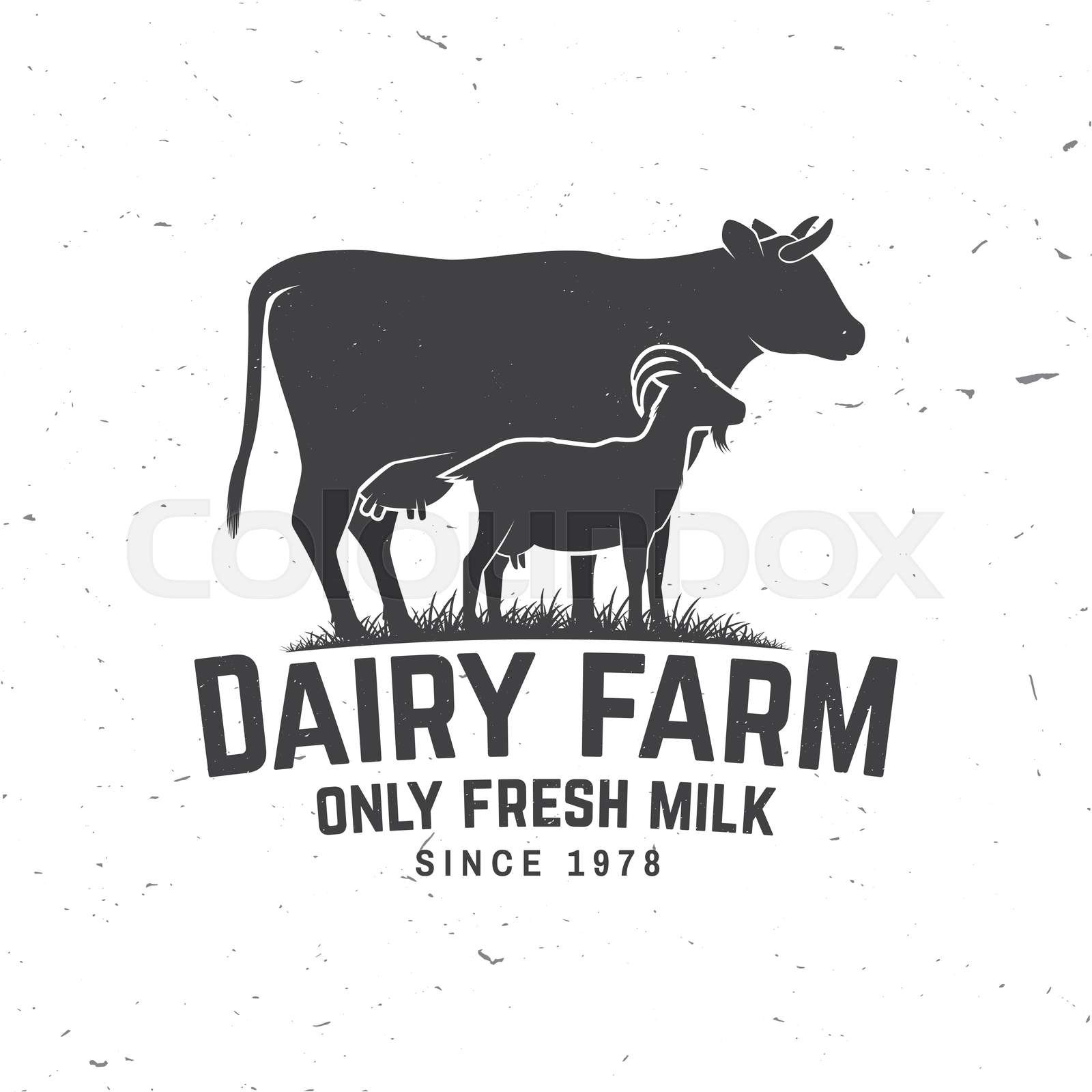 Dairy farm. Only fresh milk badge, logo. Vector. Typography design with