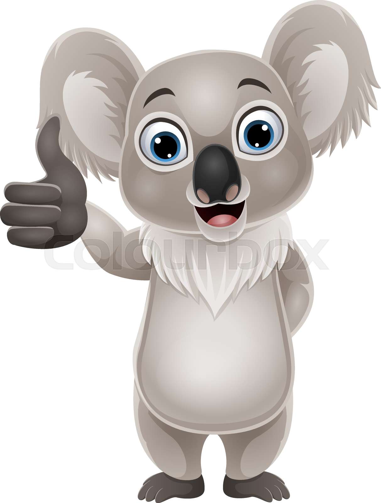 Cartoon funny koala giving thumb up Stock vector Colourbox