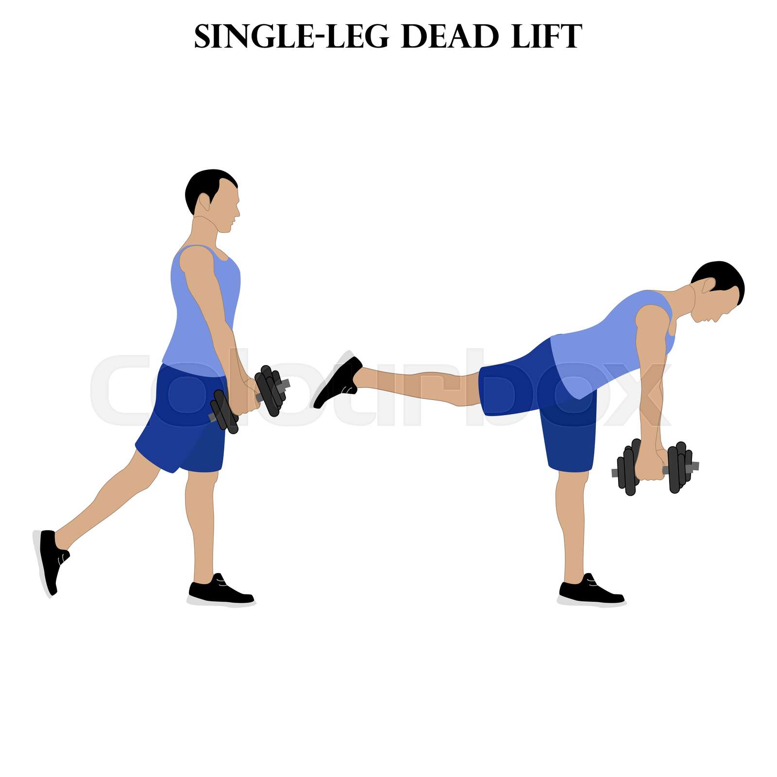 Singleleg dead lift exercise strength workout illustration Stock