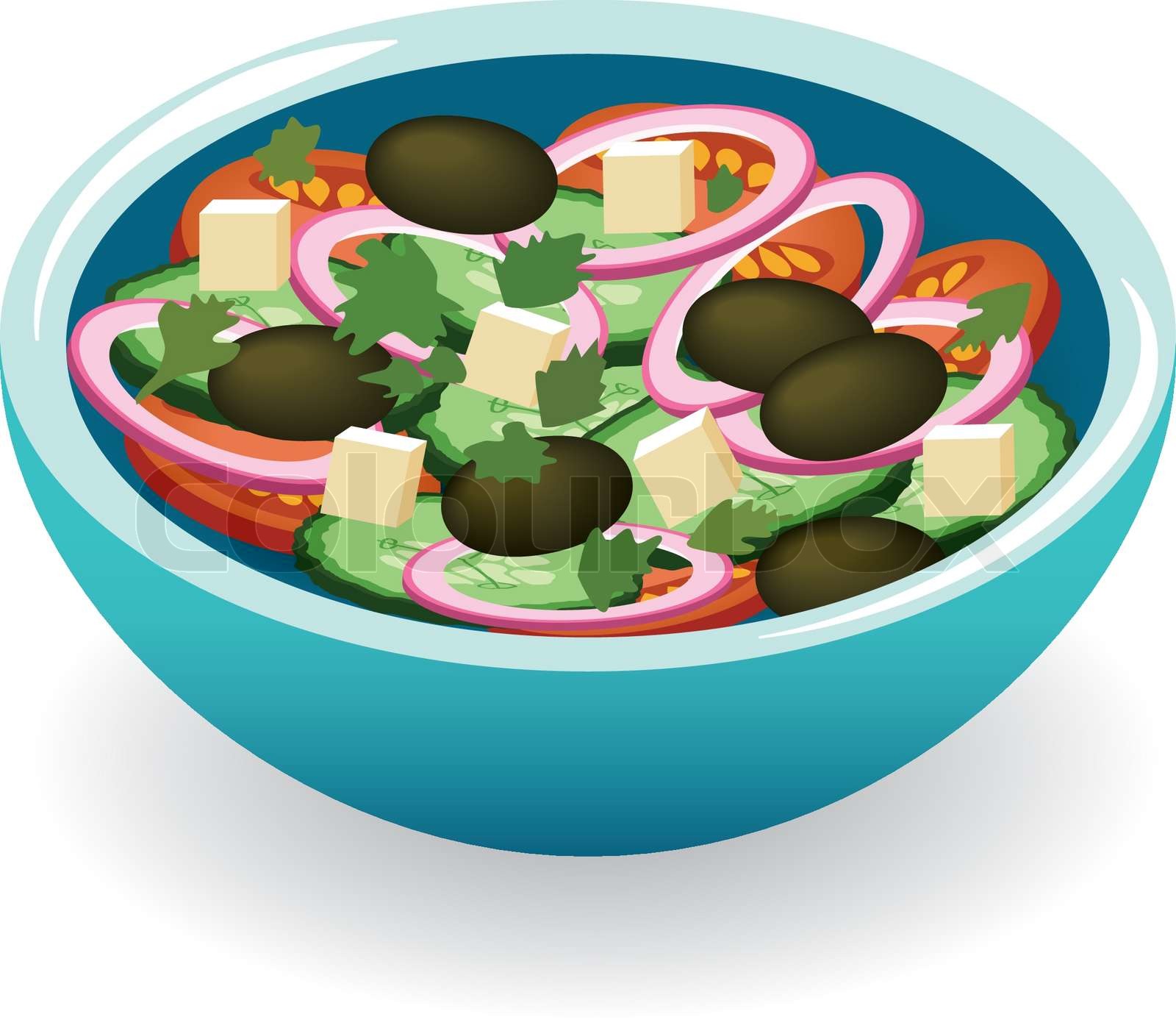 vegetable salad Stock vector Colourbox