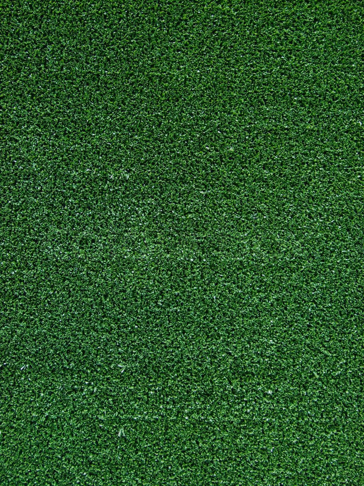 astroturf | Stock image | Colourbox