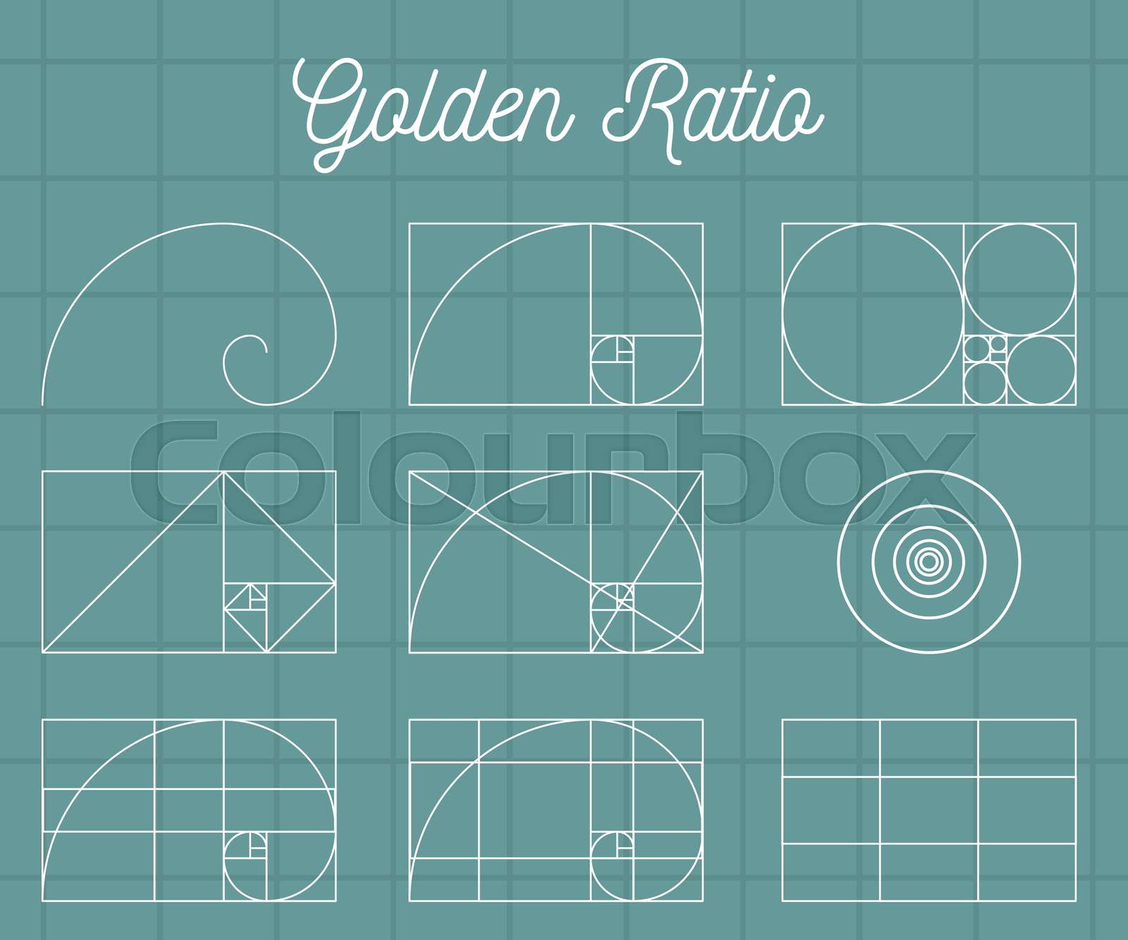 gewunden, fibonacci, verhältnis StockVektor Colourbox