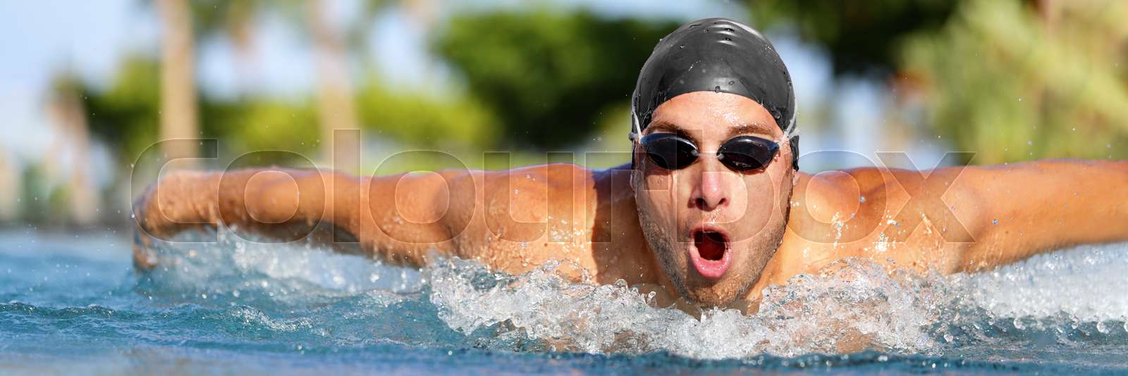 schwimmen, schwimmen, fitness | Stock Bild | Colourbox