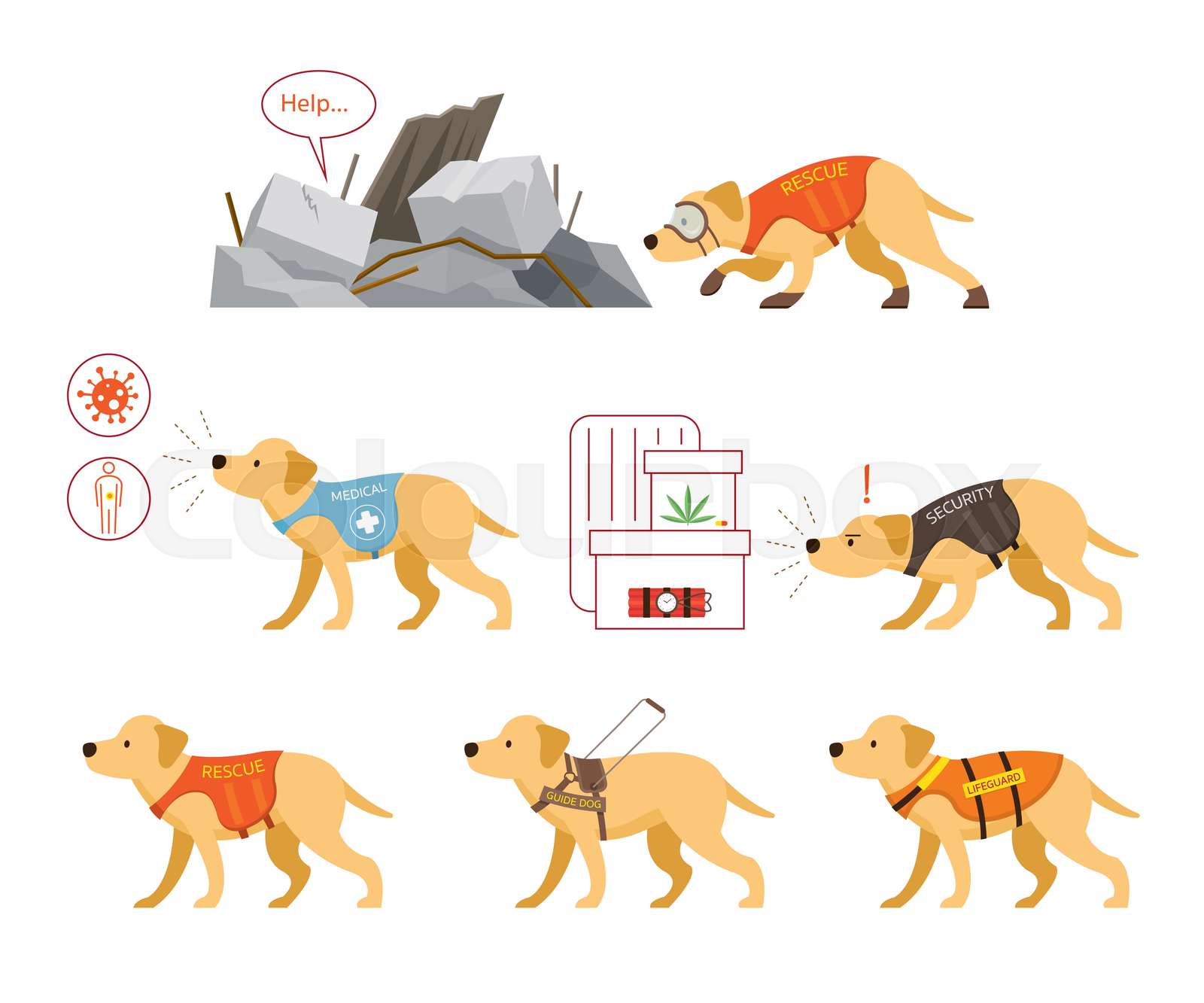 Assistance Dogs Set Stock Vector Colourbox Assistance Dogs Set Stock Vector Colourbox