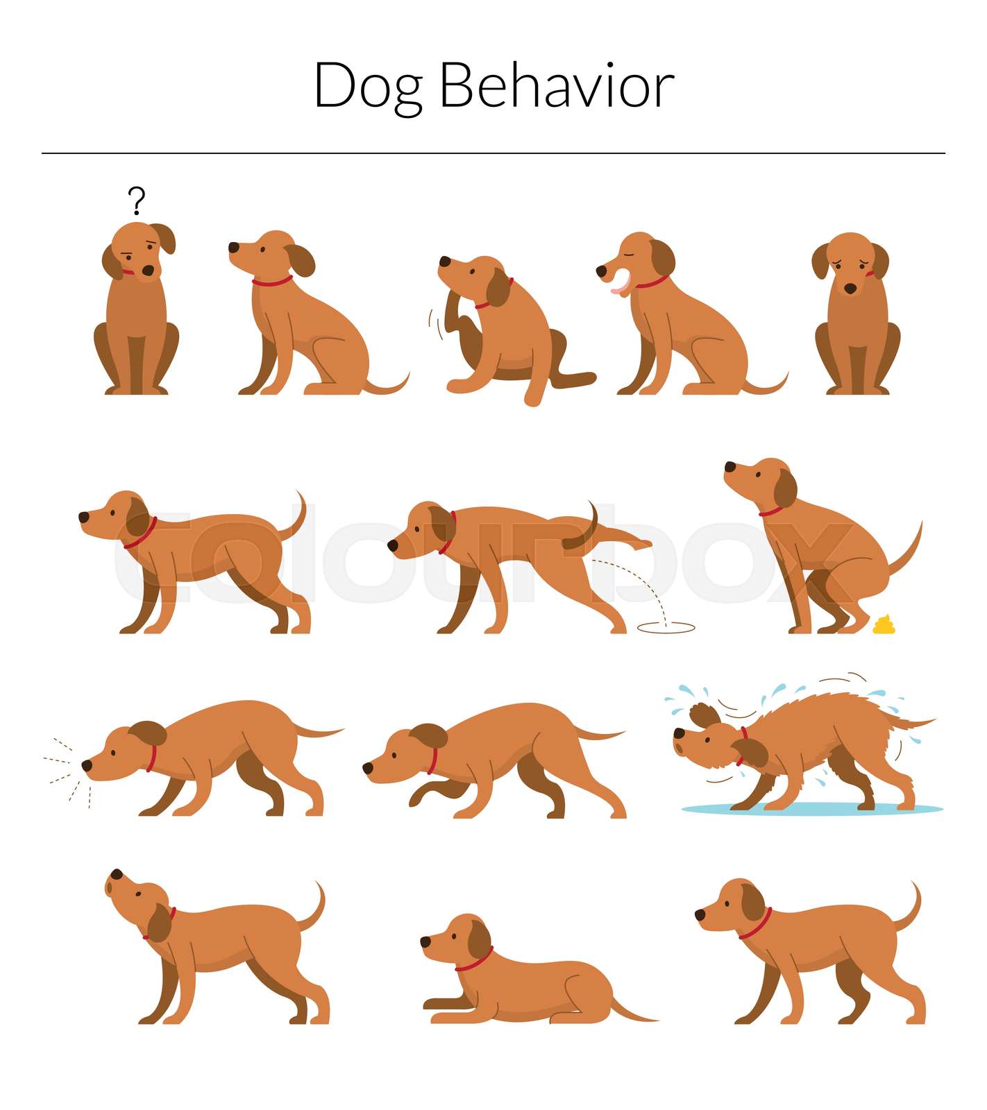 Dog Behavior Set Stock vector Colourbox