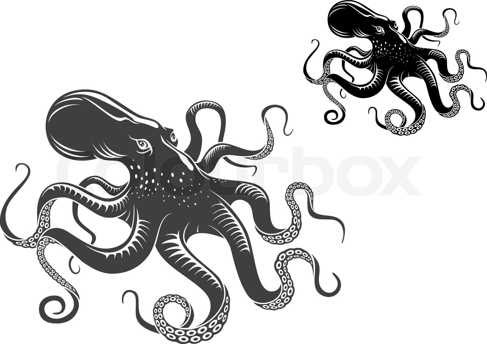 Giant octopus | Stock vector | Colourbox