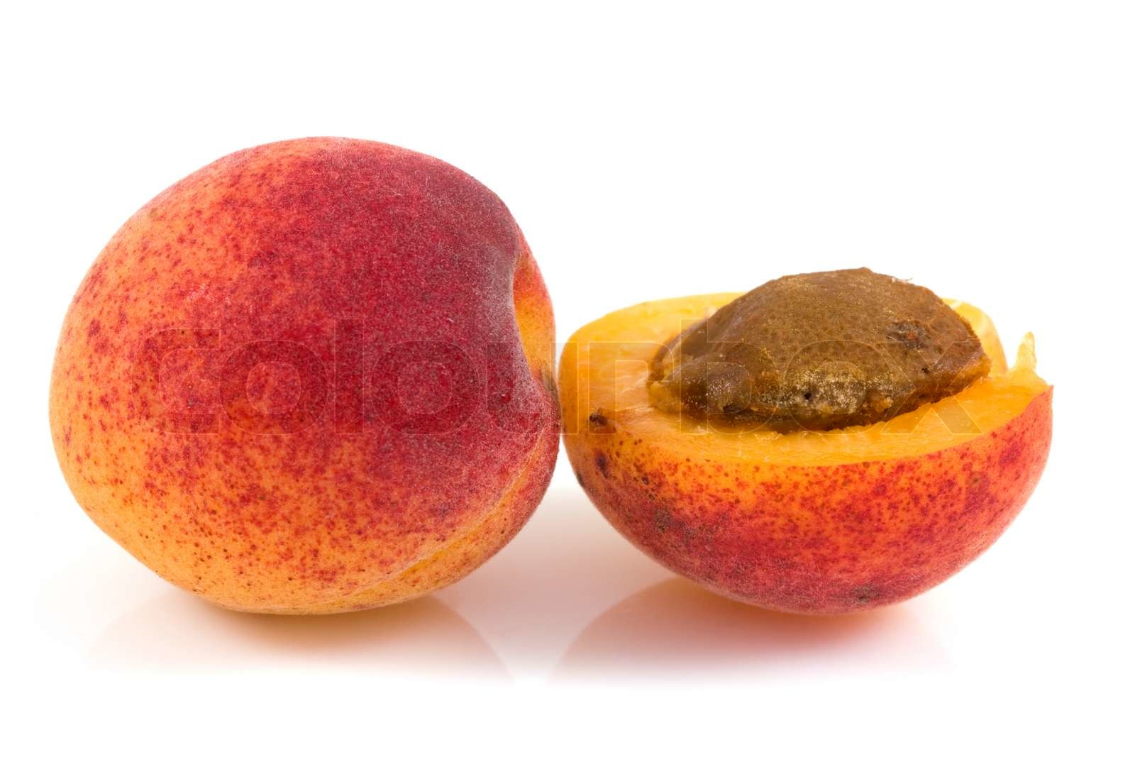 apricot isolated | Stock image | Colourbox