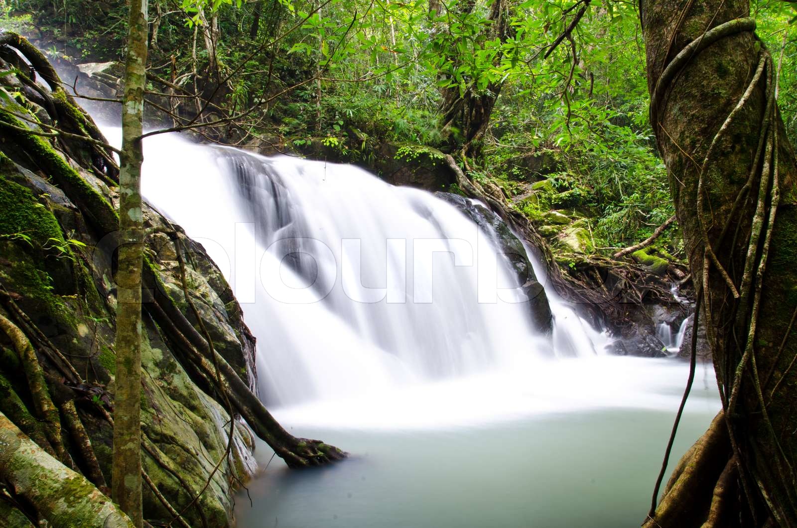 Deep forest Waterfall | Stock image | Colourbox