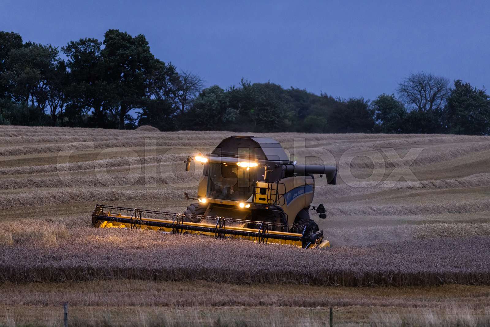 denmark, agriculture, night Stock image Colourbox