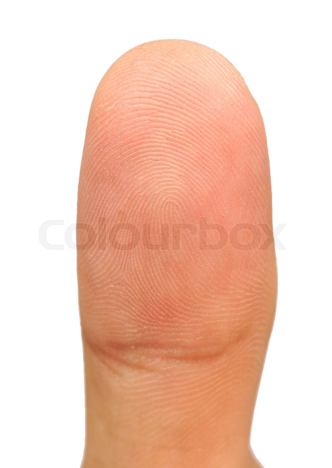 Macro view of a thumb finger | Stock image | Colourbox