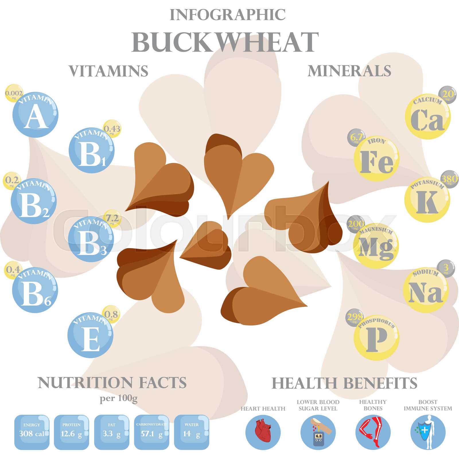 Buckwheat nutrition facts and health benefits infographic Stock