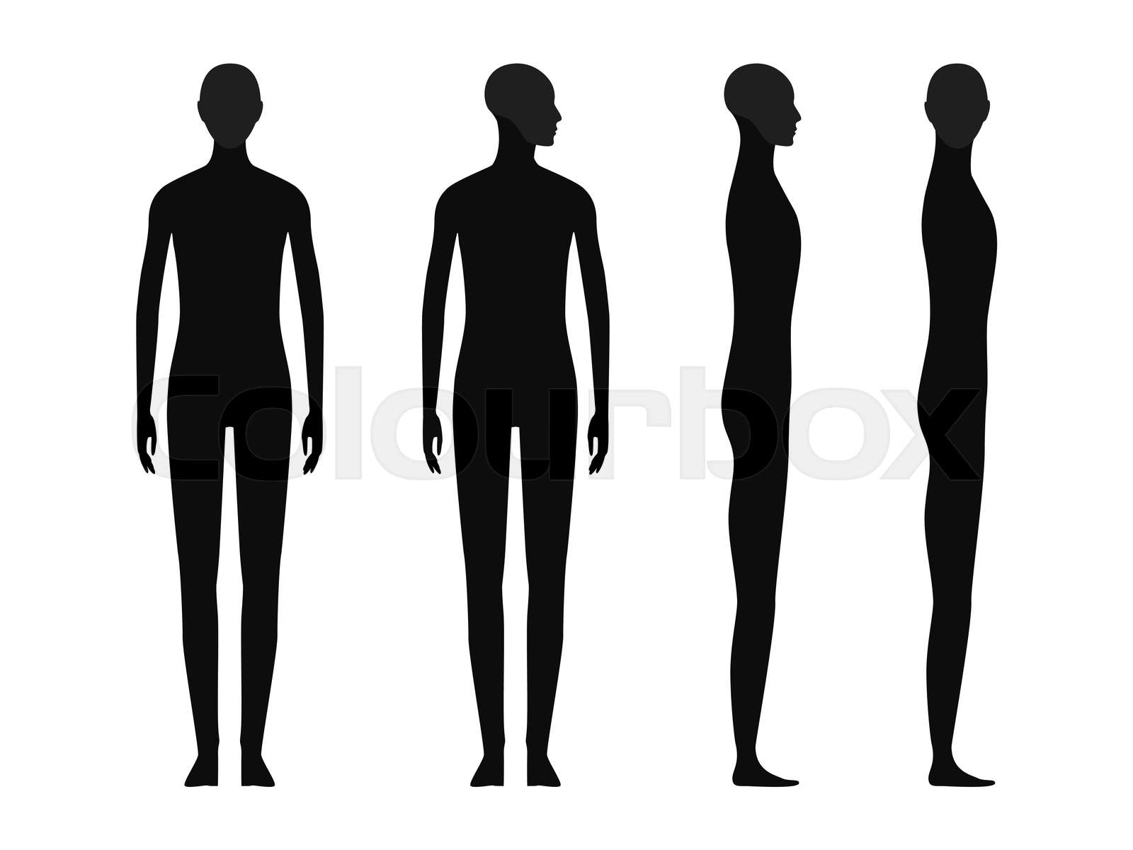 Human body silhouette of a gender neutral person with a highlighted ...