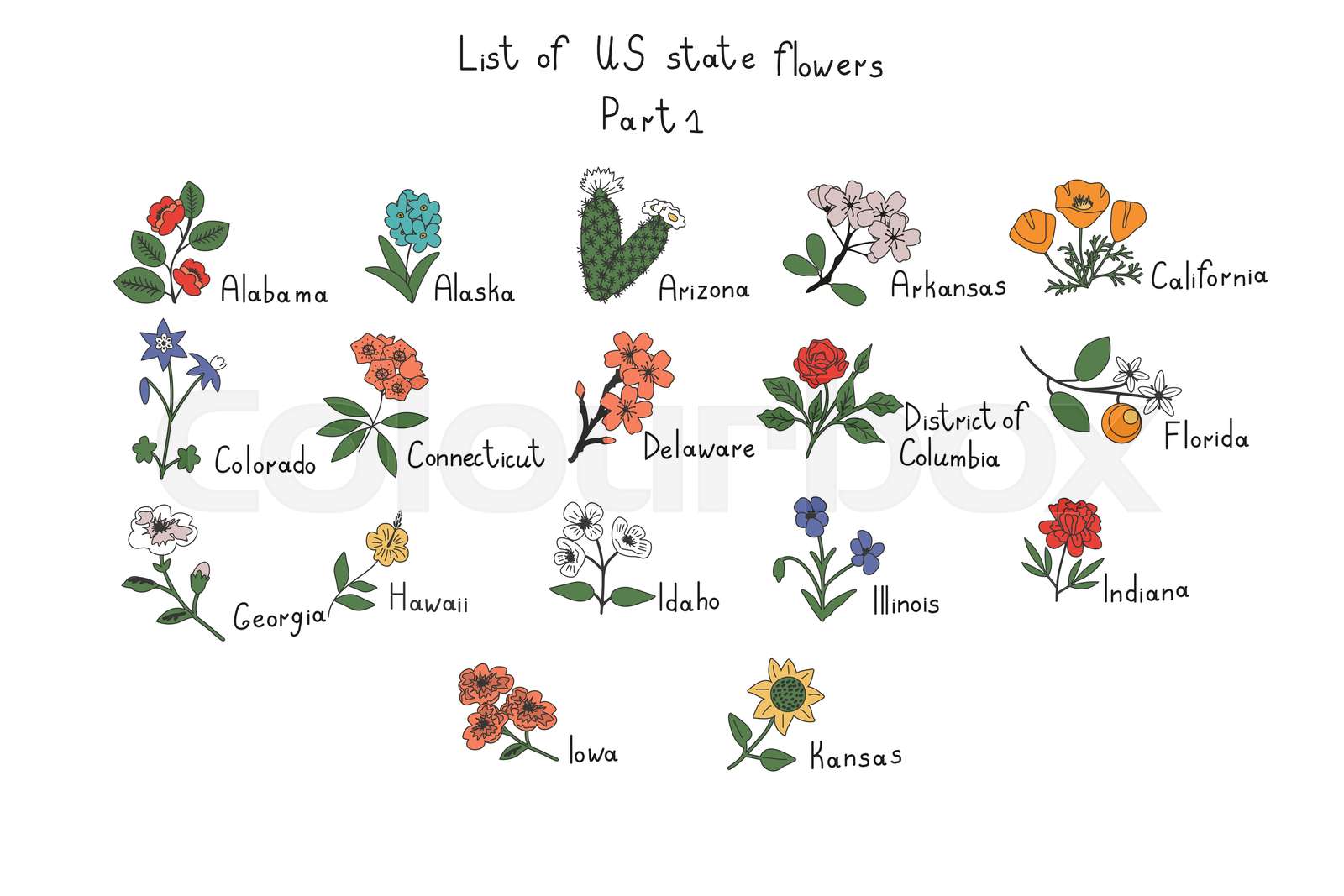 US state flowers | Stock vector | Colourbox