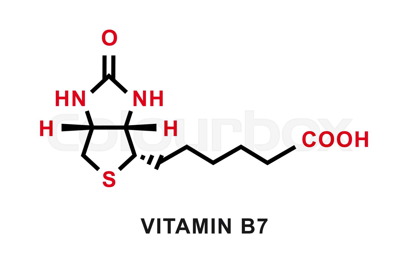 Vitamin B7 Chemical Formula Vitamin B7 Chemical Molecular Structure 