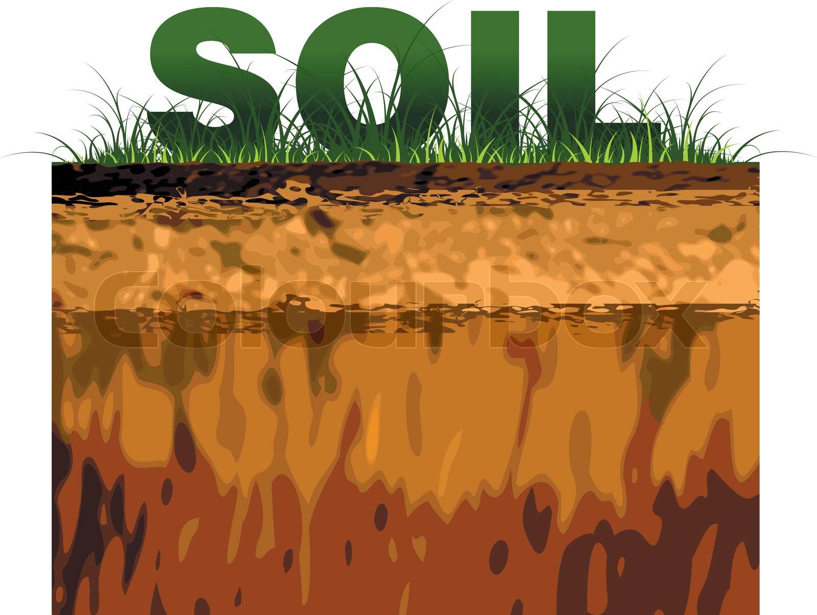 structure of soil Stock vector Colourbox