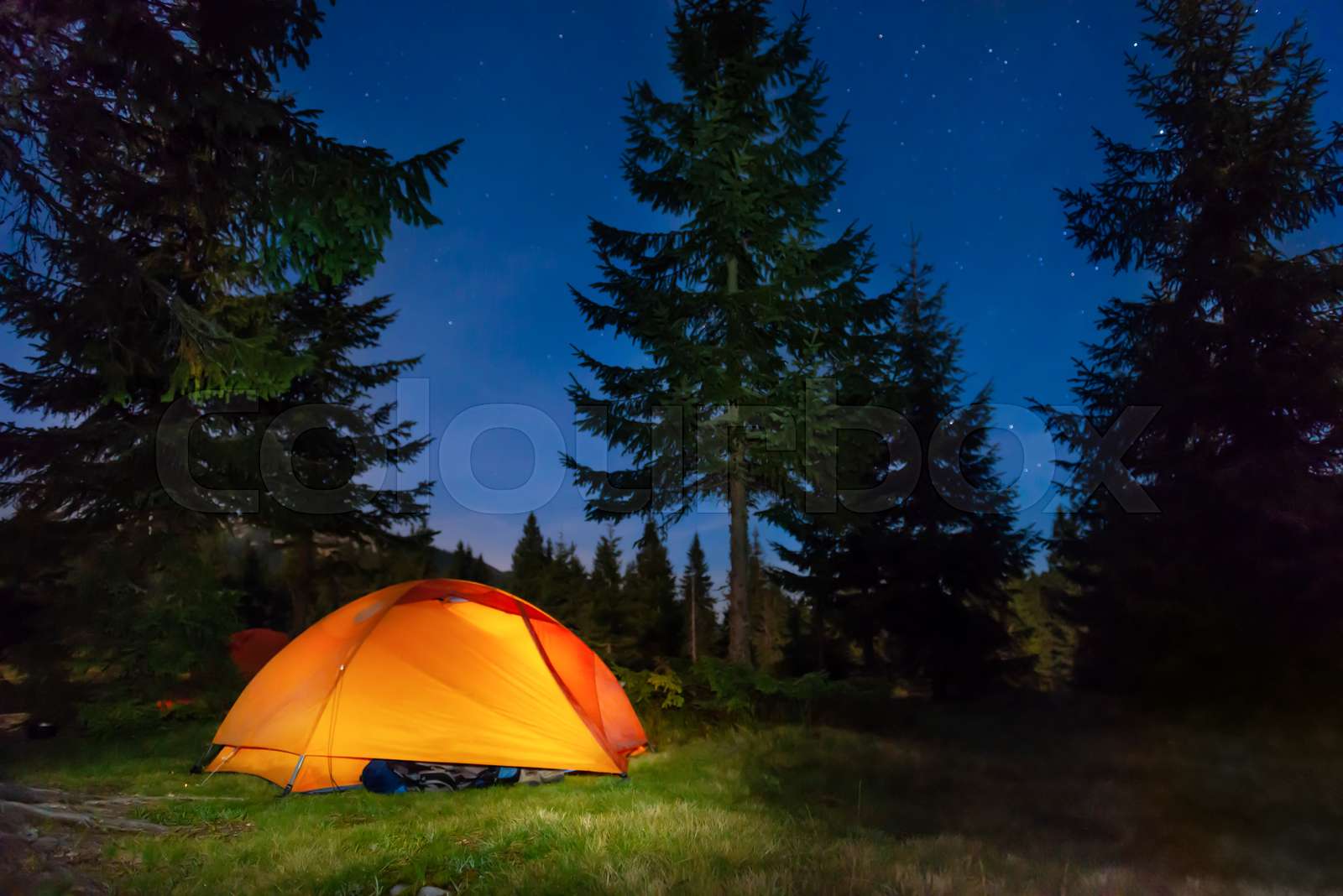 Illuminated tent in night forest | Stock image | Colourbox