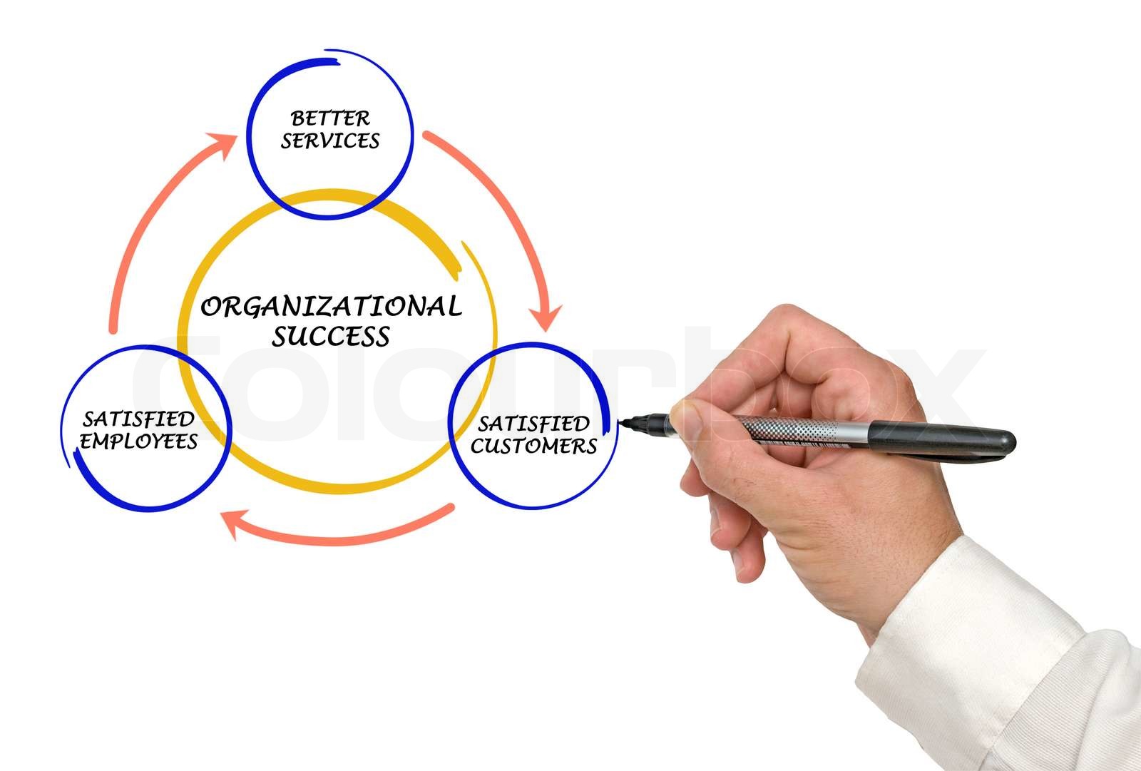 Management diagram | Stock image | Colourbox