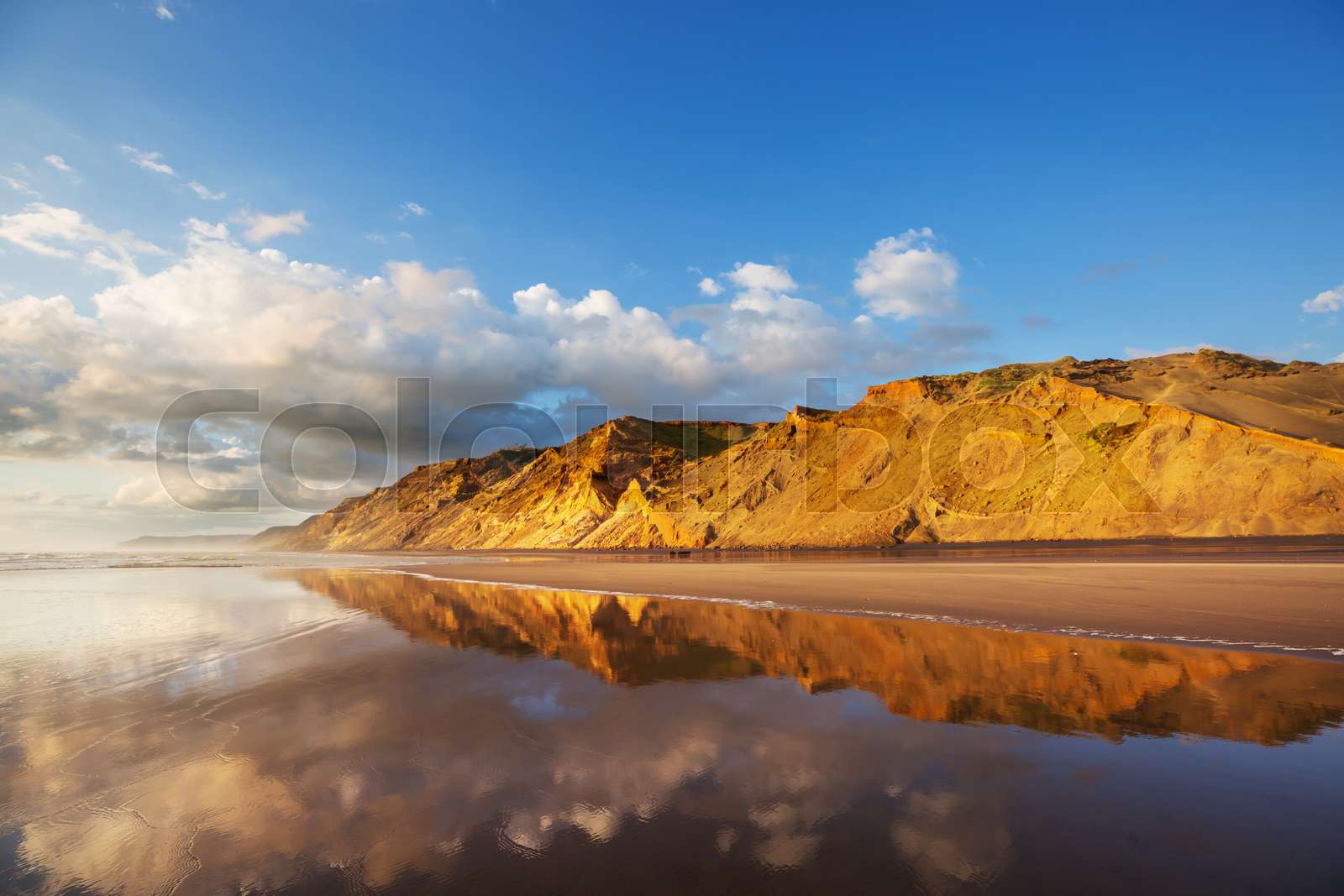New Zealand coast Stock image Colourbox