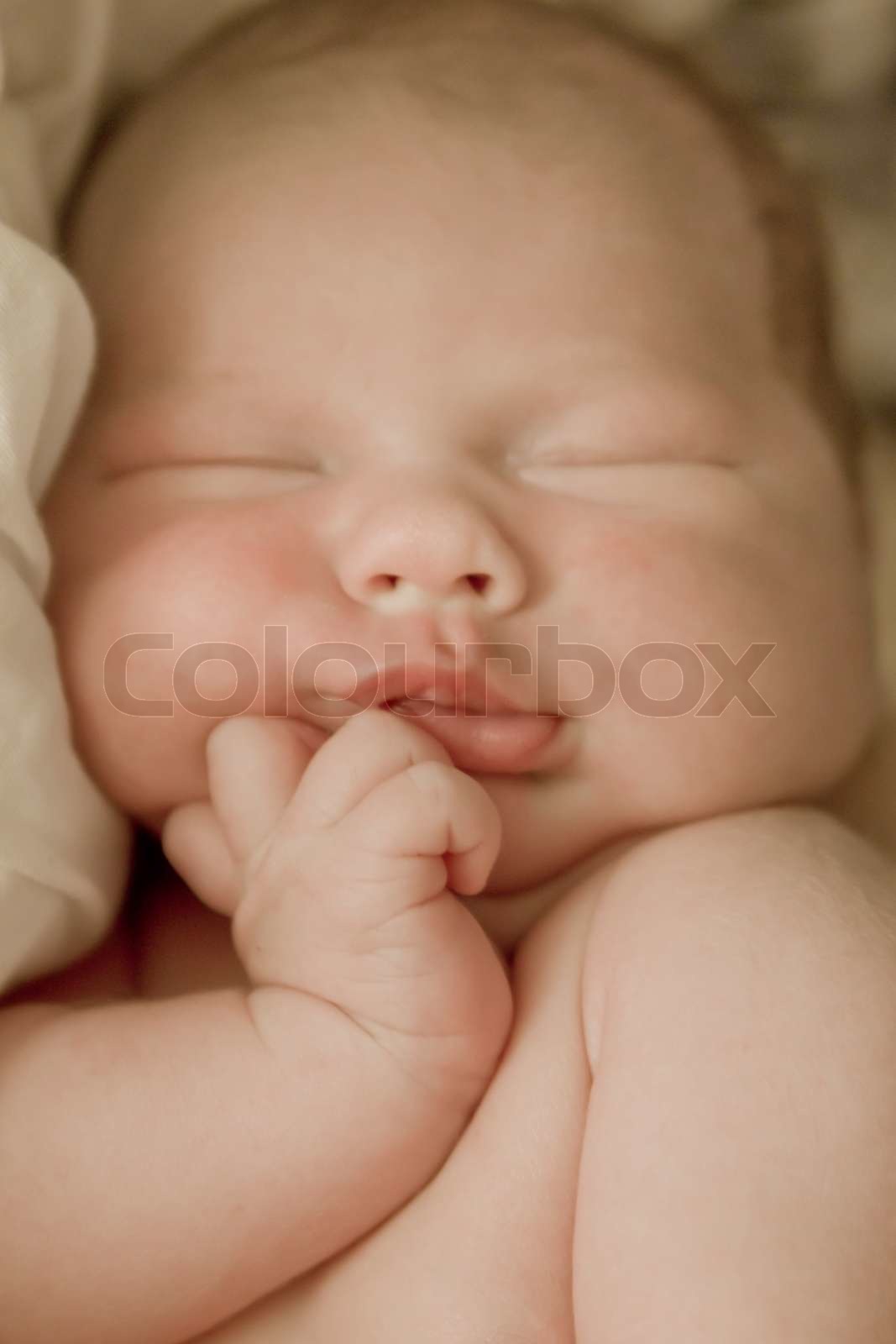 Fabelhafte 6 Wochen Altes Baby Bilder