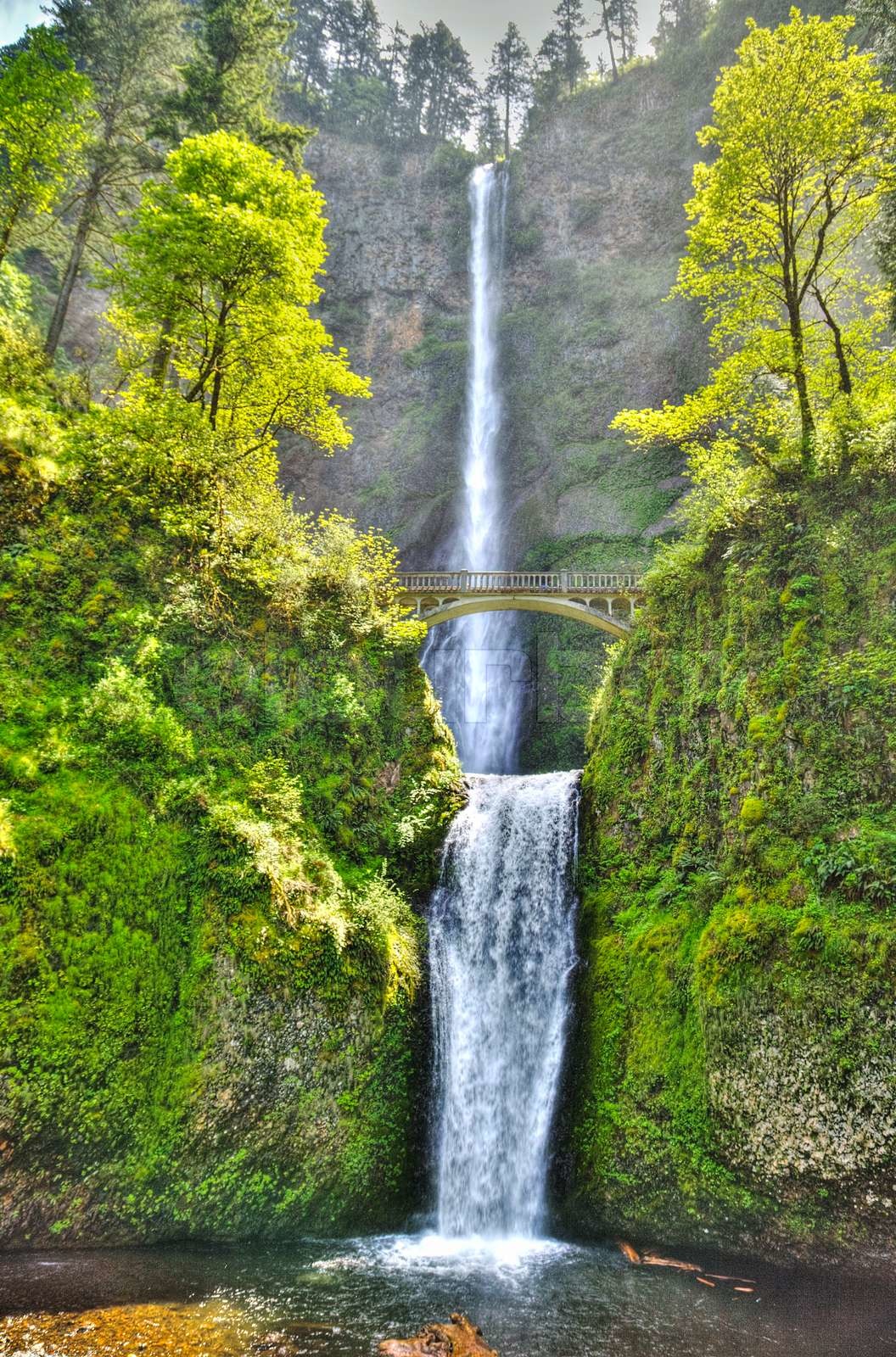 Multnomah Falls And Bridge In The Morning Sun Light Stock Image 
