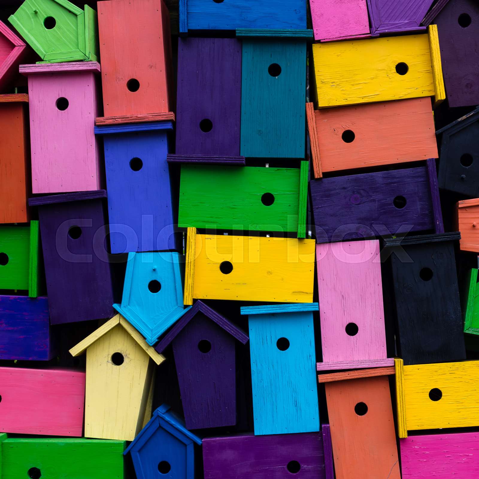 dänemark, vogel, vogelhaus | Stock Bild | Colourbox