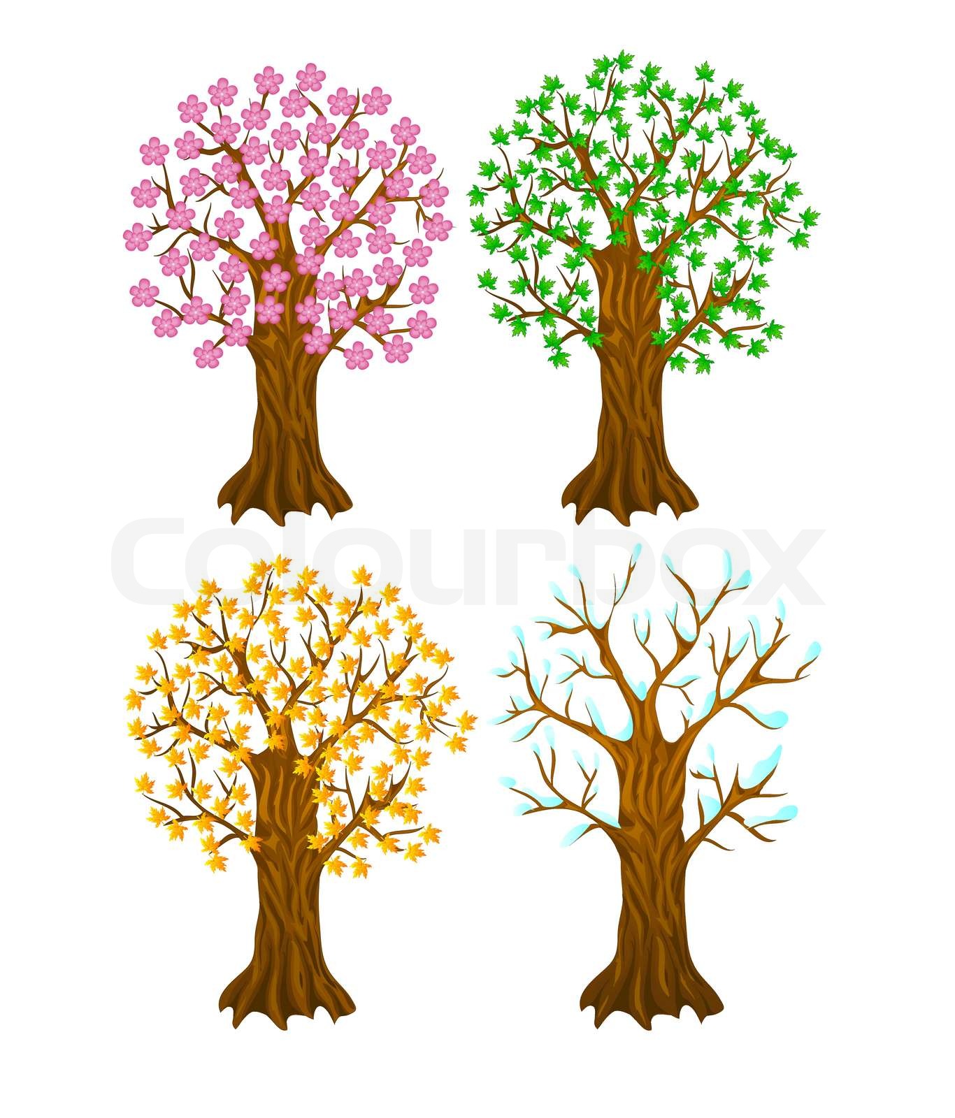 set of autumn,winter, summer and spring tree | Stock vector | Colourbox