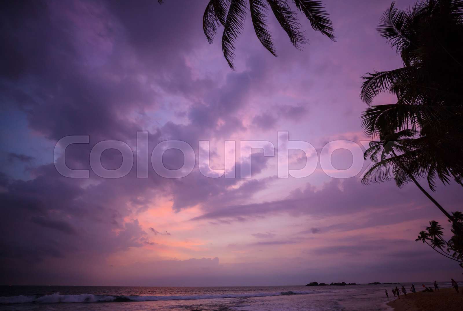 Tropical sunset | Stock image | Colourbox