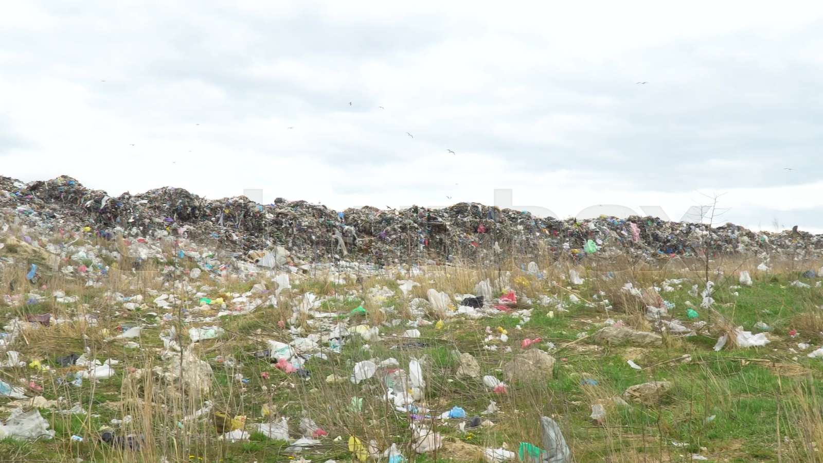 The huge garbage dump on the outskirts, the ecological disaster of