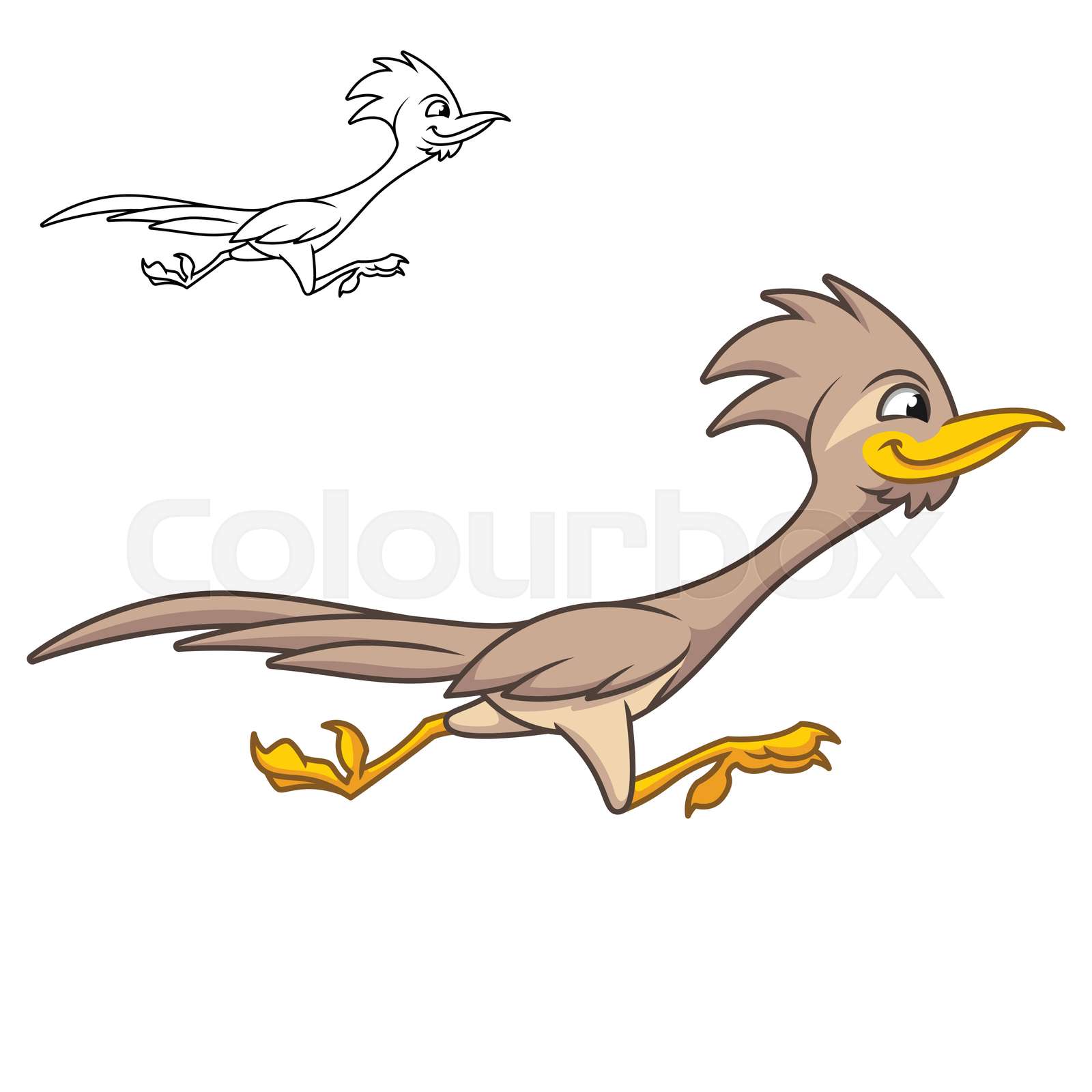 Roadrunner Cartoon Picture