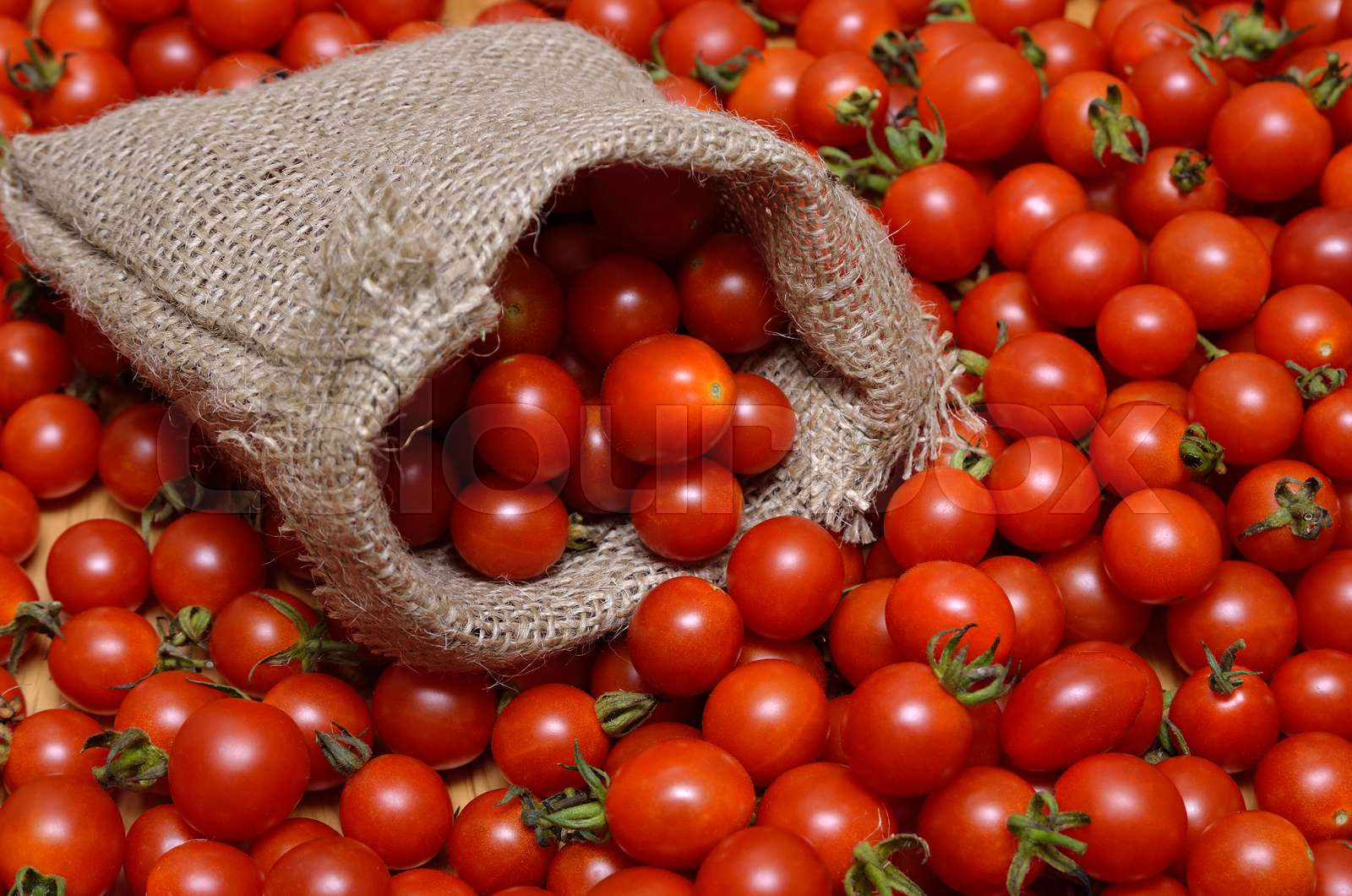 Ripe Cherry Tomatoes In A Sack Of Coarse Burlap Stock Image Colourbox