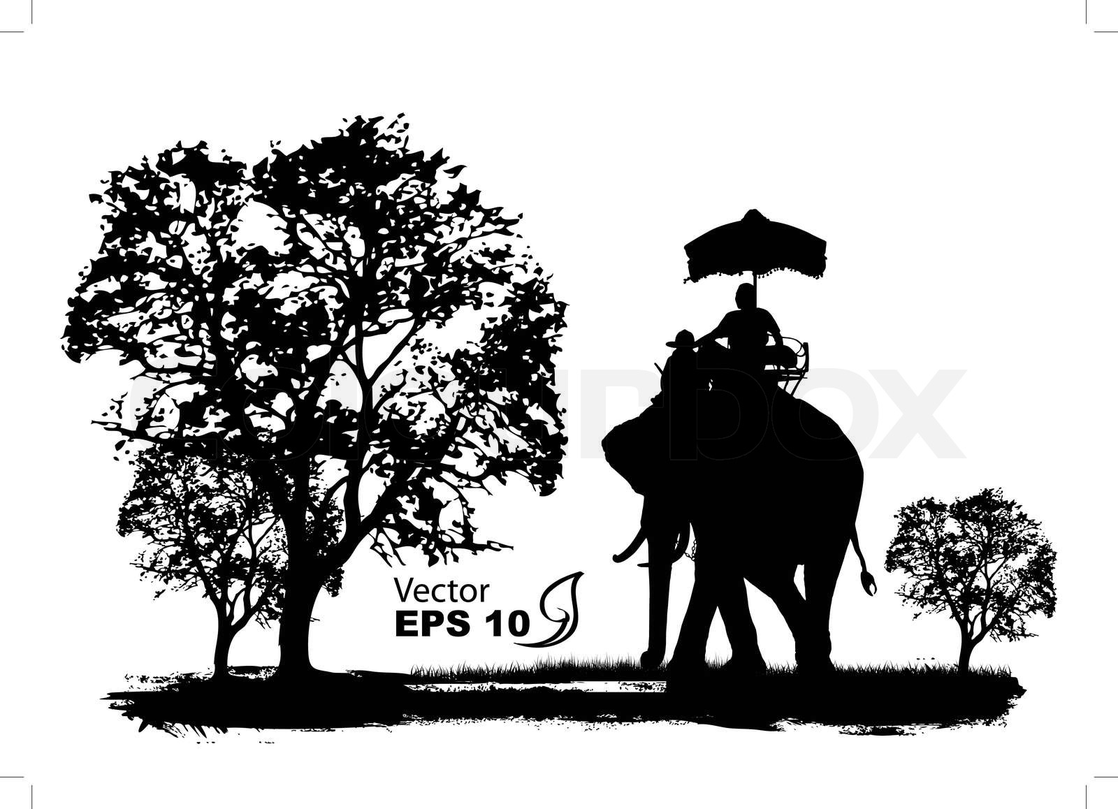 vector of elephants in thailand | Stock vector | Colourbox