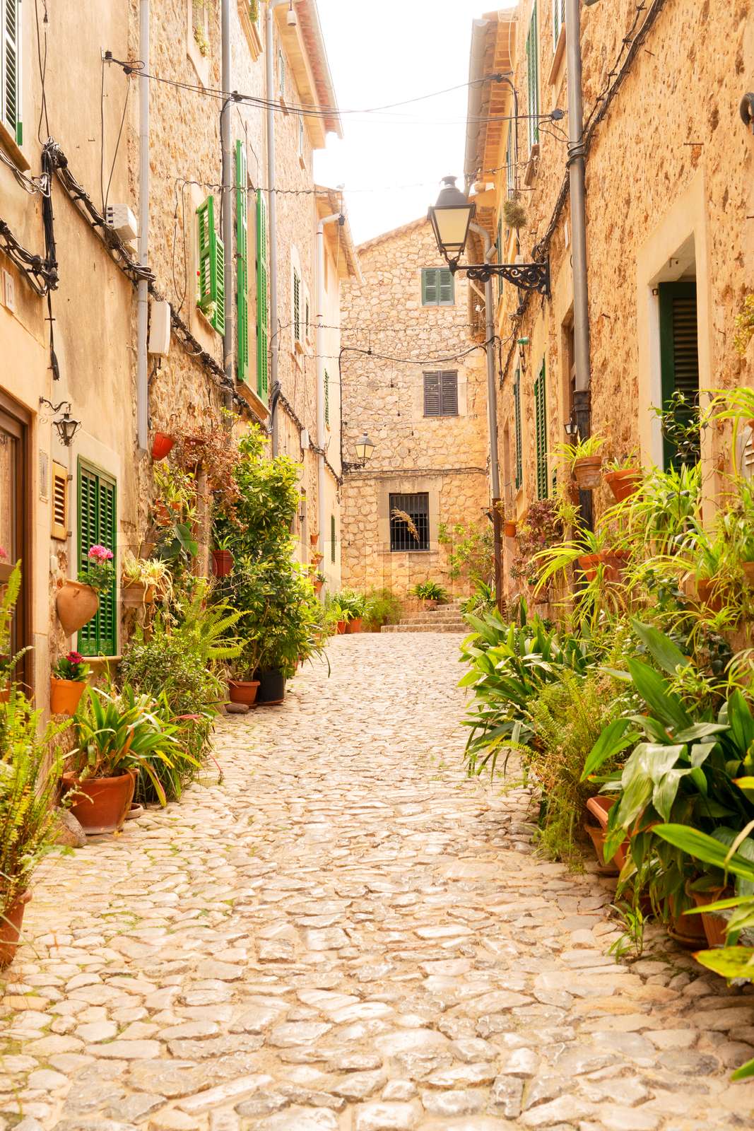 old town of Valdemossa, Majorca Stock image Colourbox