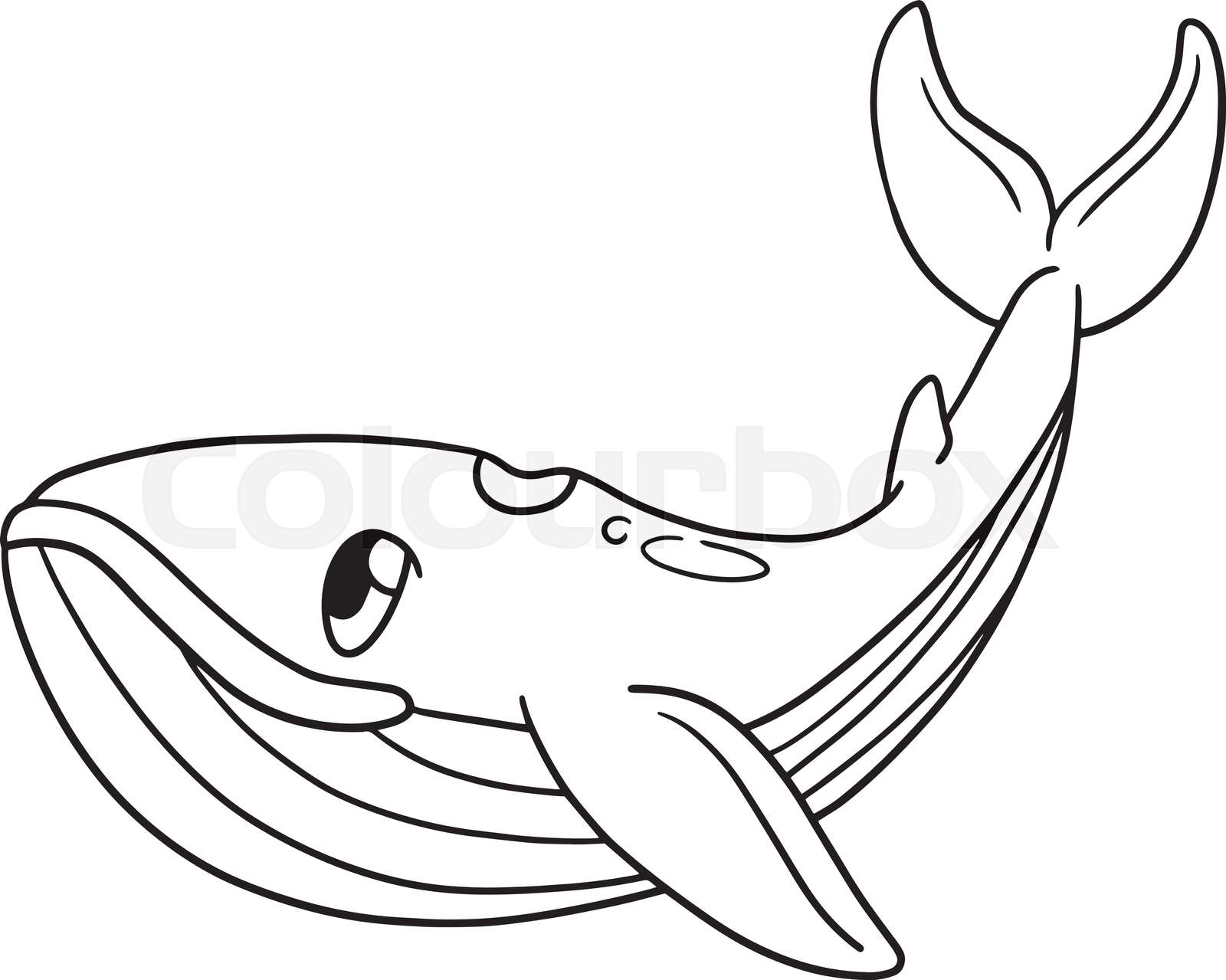 Humpback Whale Clipart Black And White