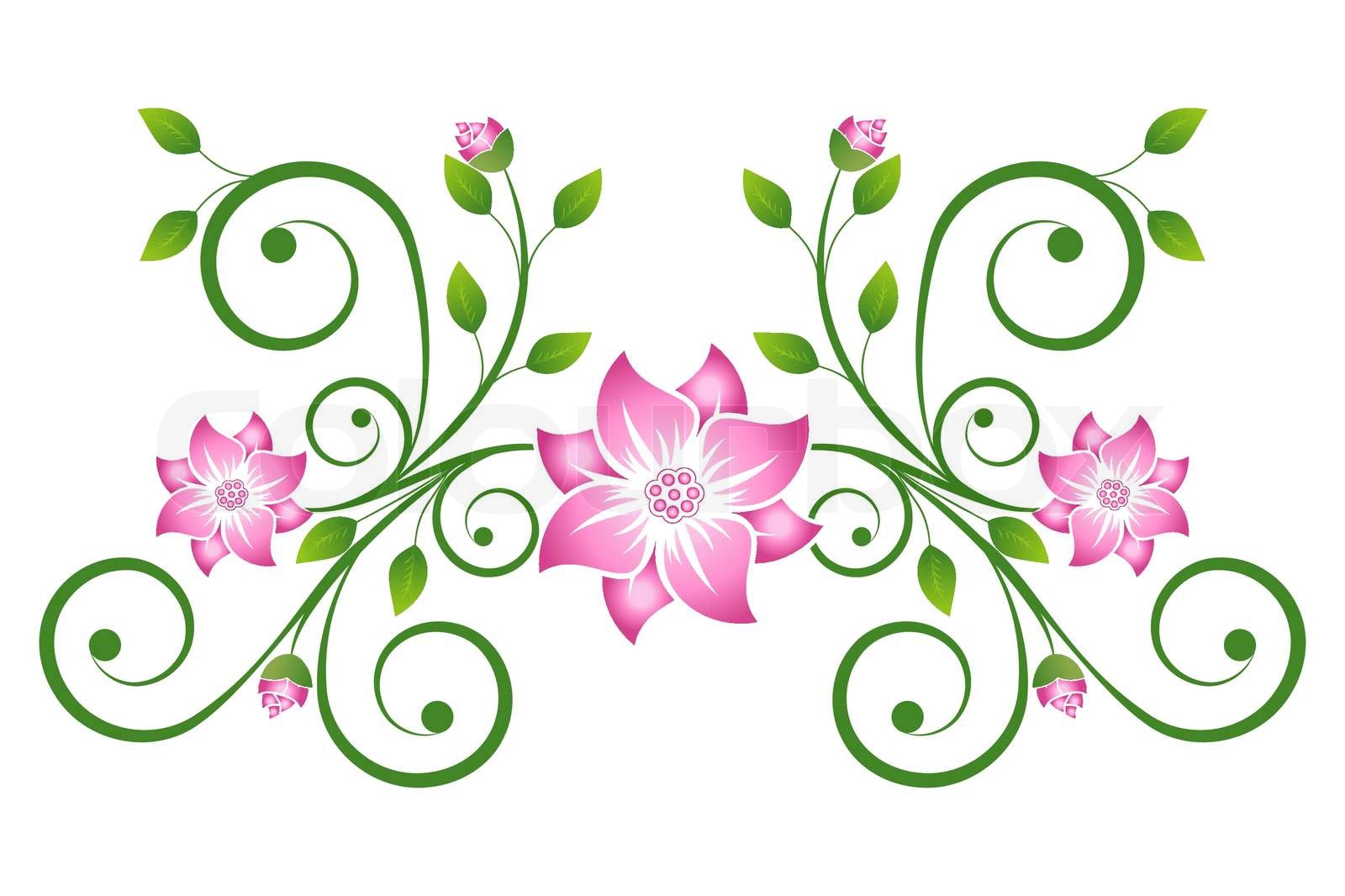 Scroll with flowers Stock vector Colourbox