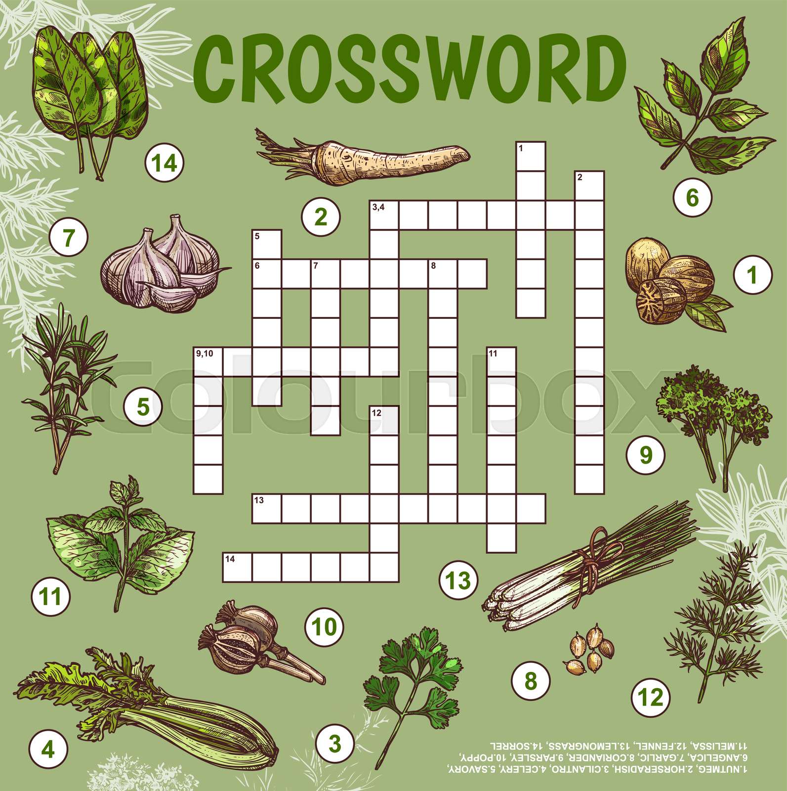 Herbs and spices crossword, find a word quiz game Stock vector