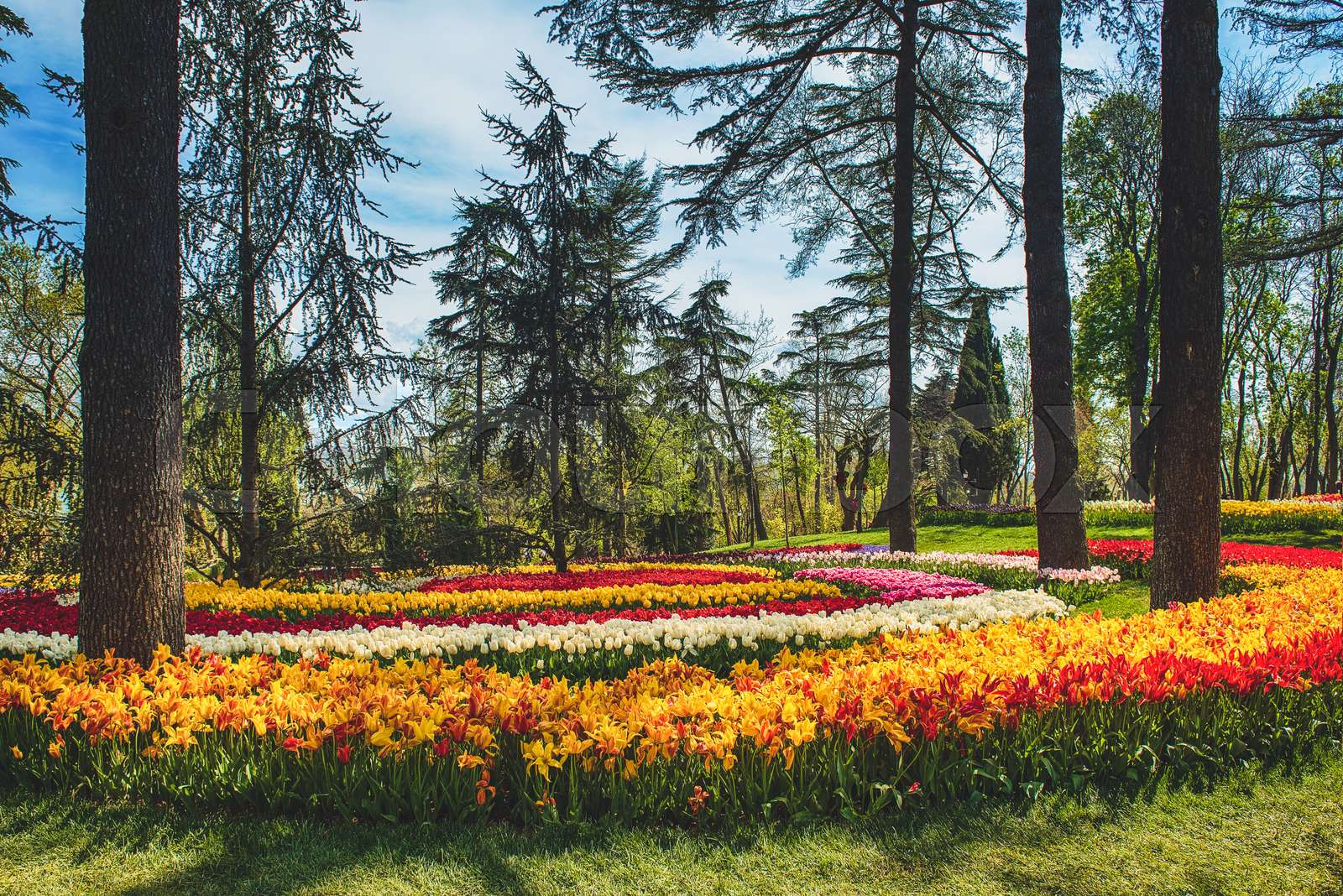 Emirgan Park, Istanbul Stock image Colourbox