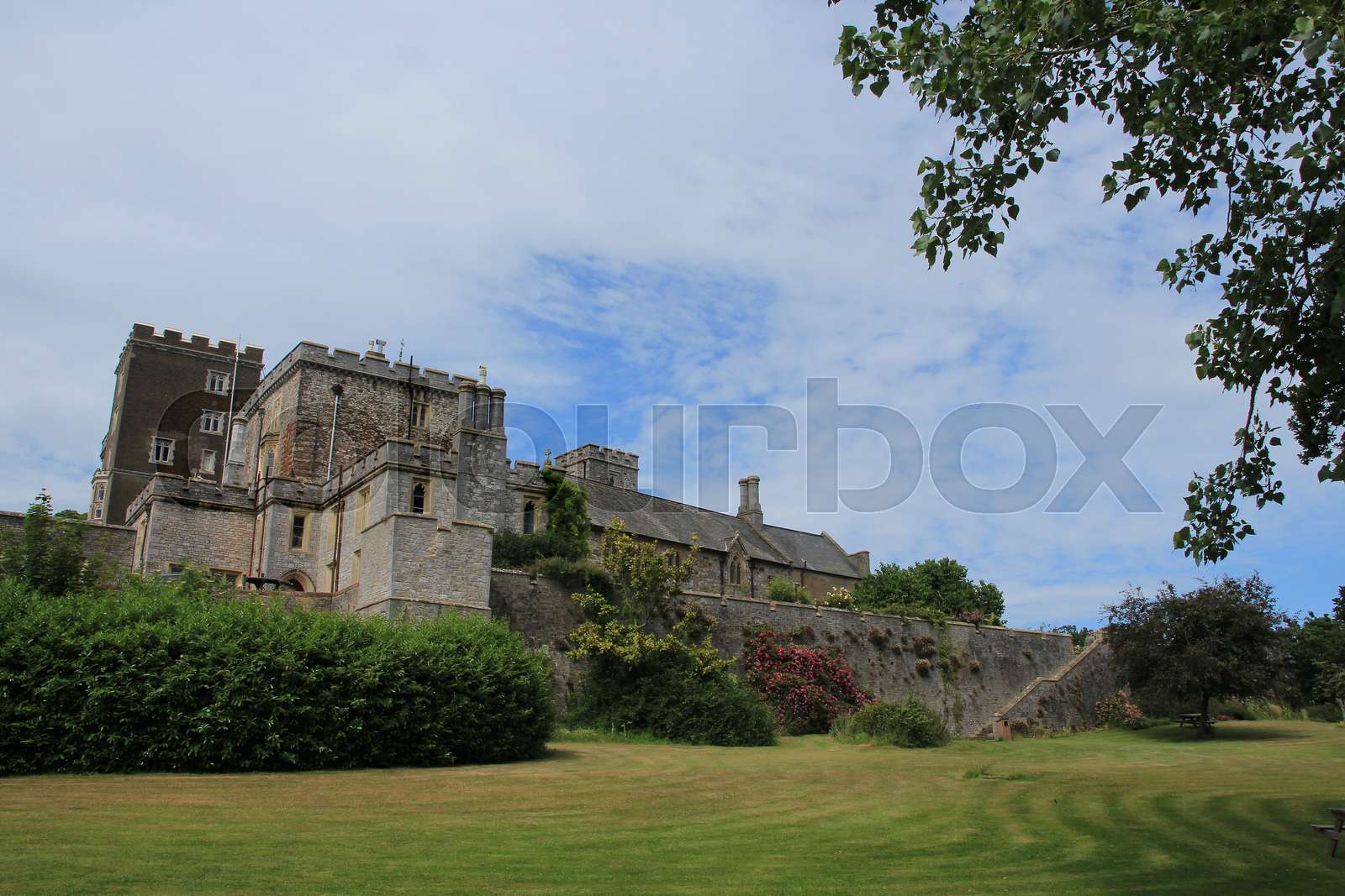 Powderham Castle in England. Stock image Colourbox
