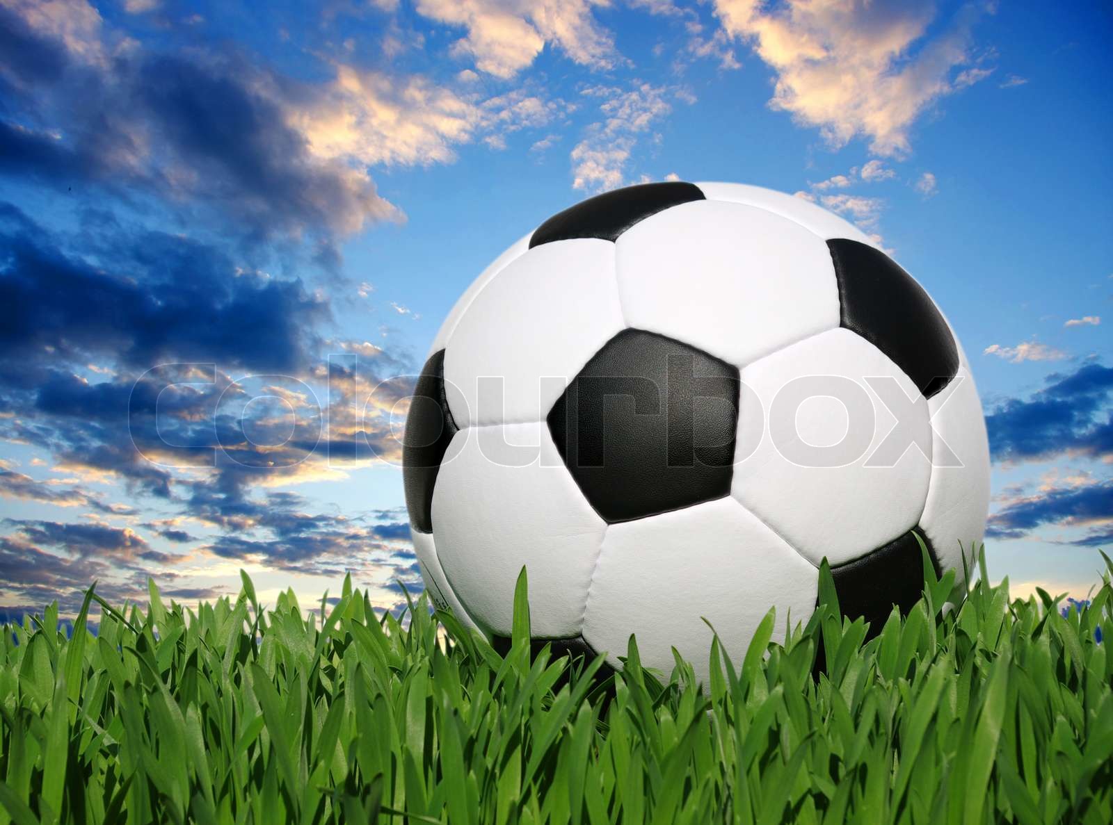 football | Stock image | Colourbox