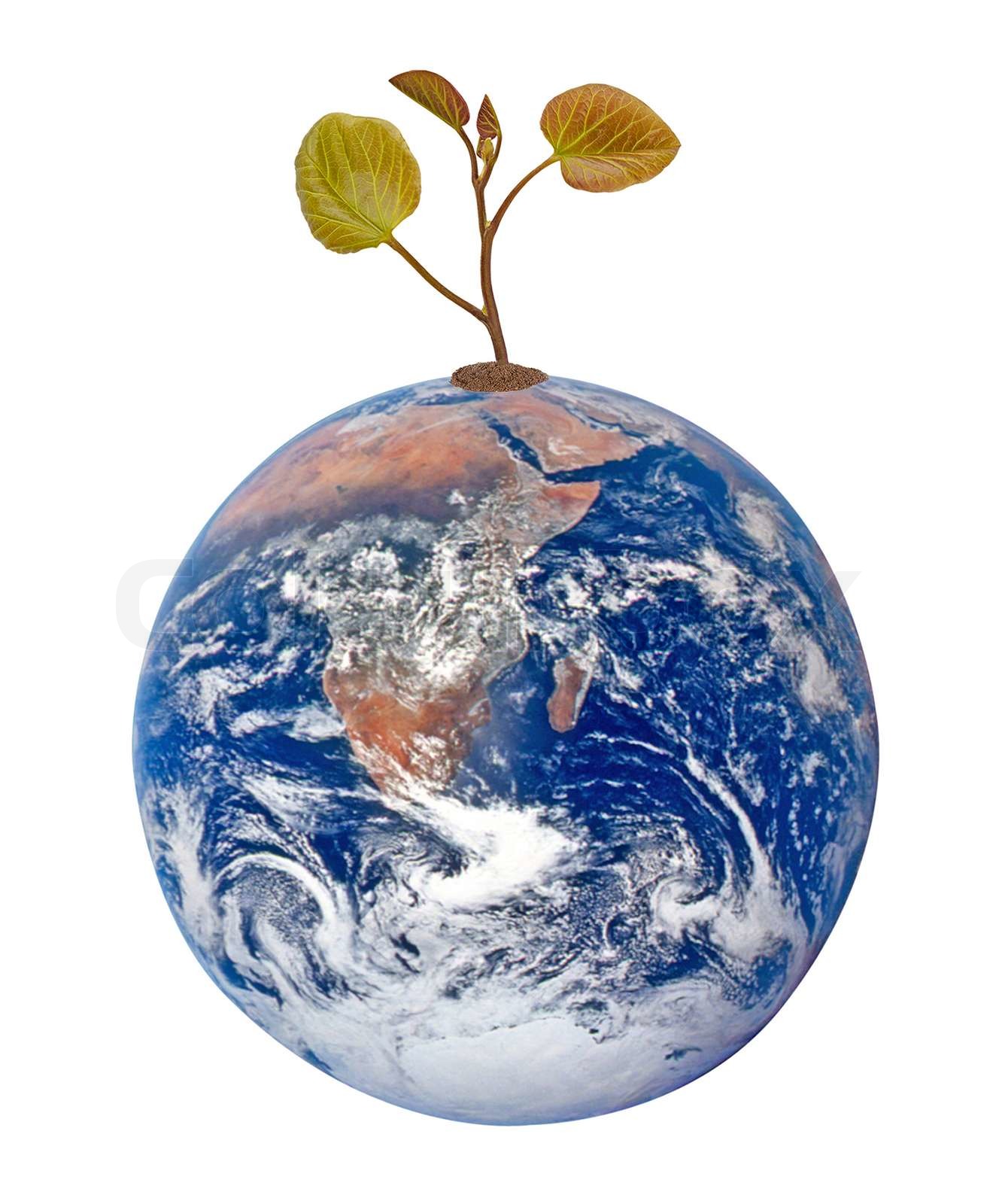 jorden som symbol på naturens conservationElements af dette