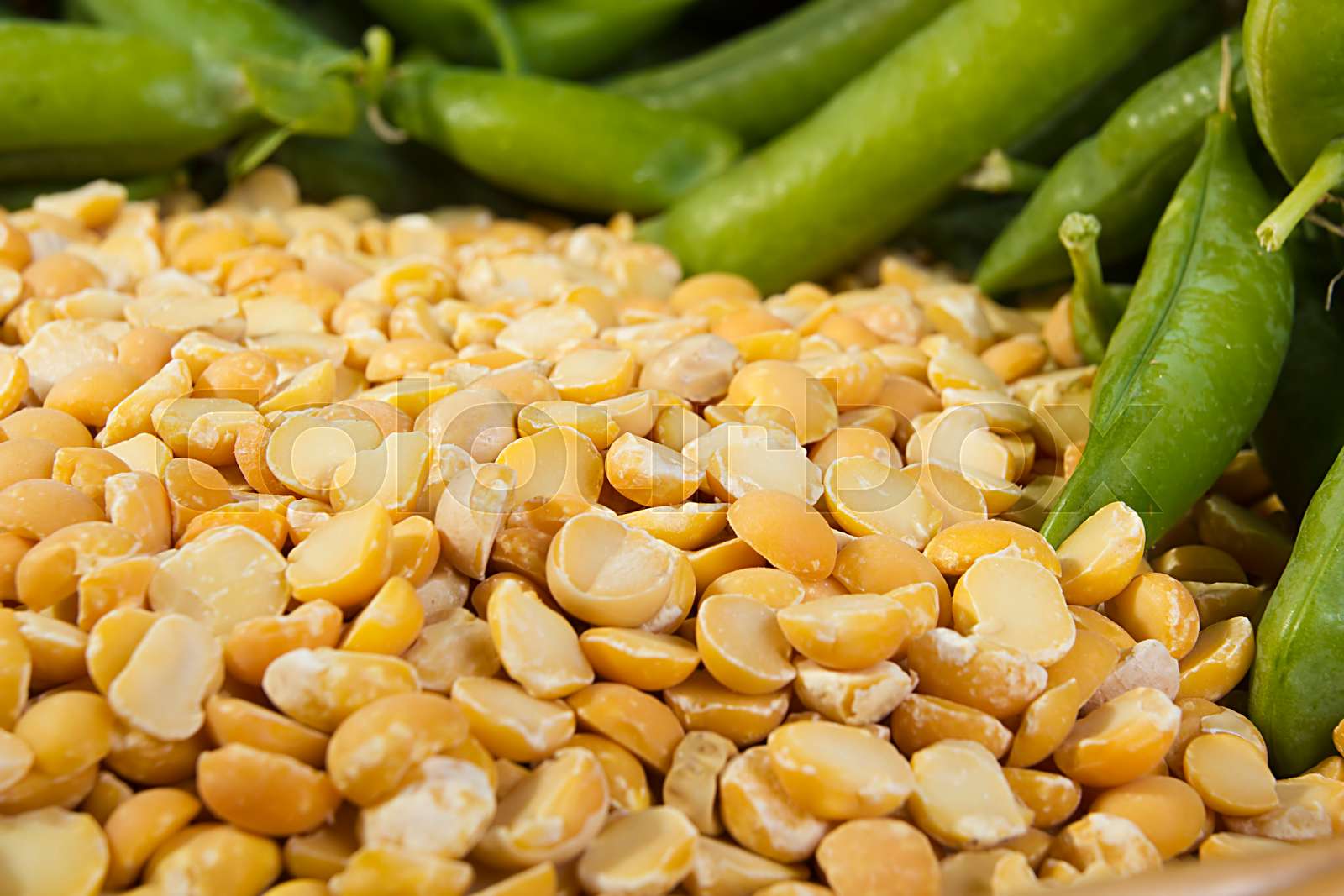 Fresh and dried peas Stock image Colourbox