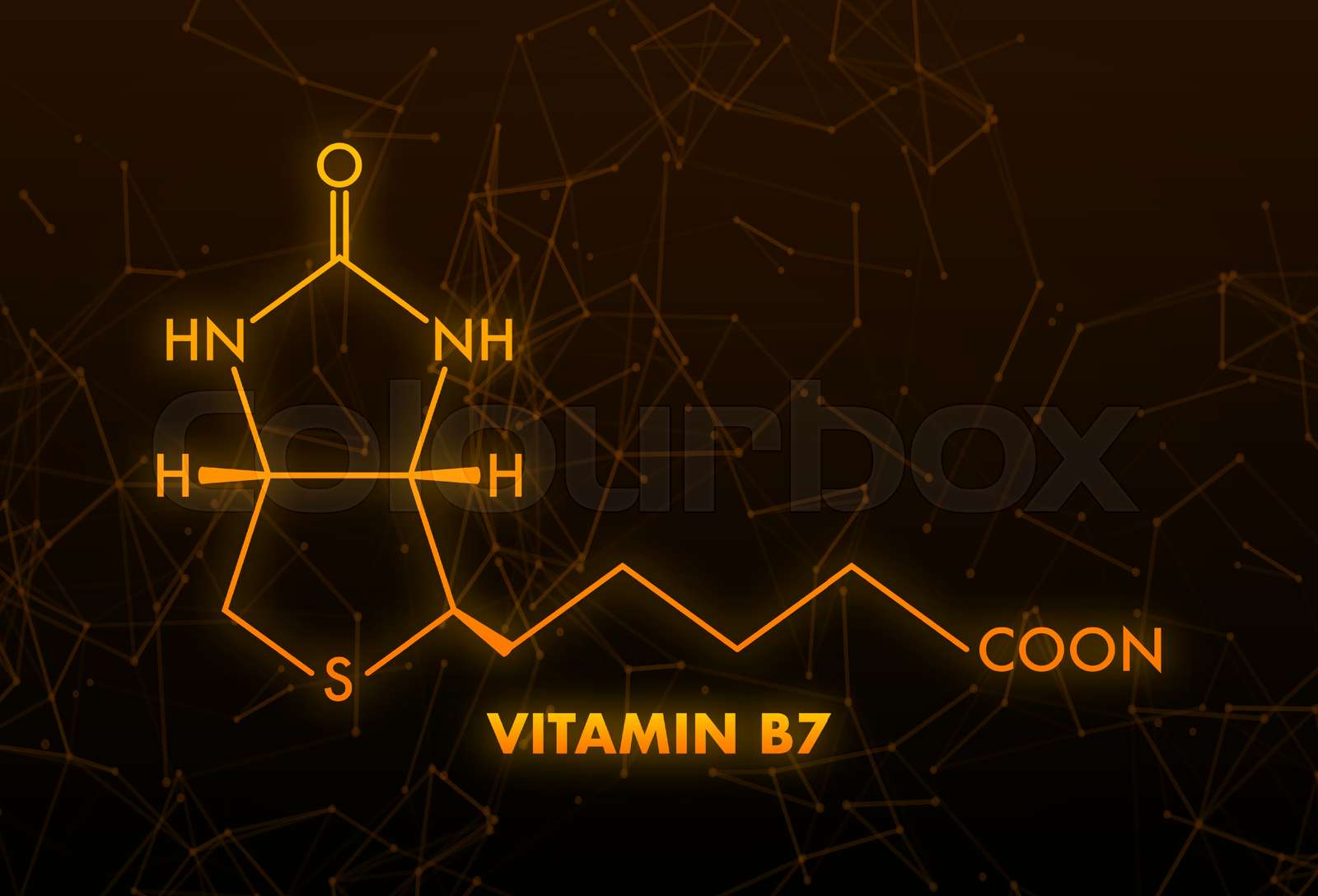Vitamin B7 Formula Vitamin B7 Biotin Molecule Skeletal Formula 