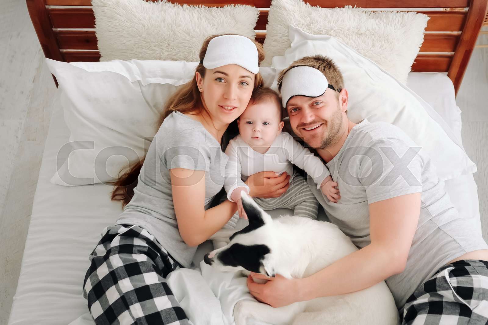 Family With Child And Dog Stock Image Colourbox