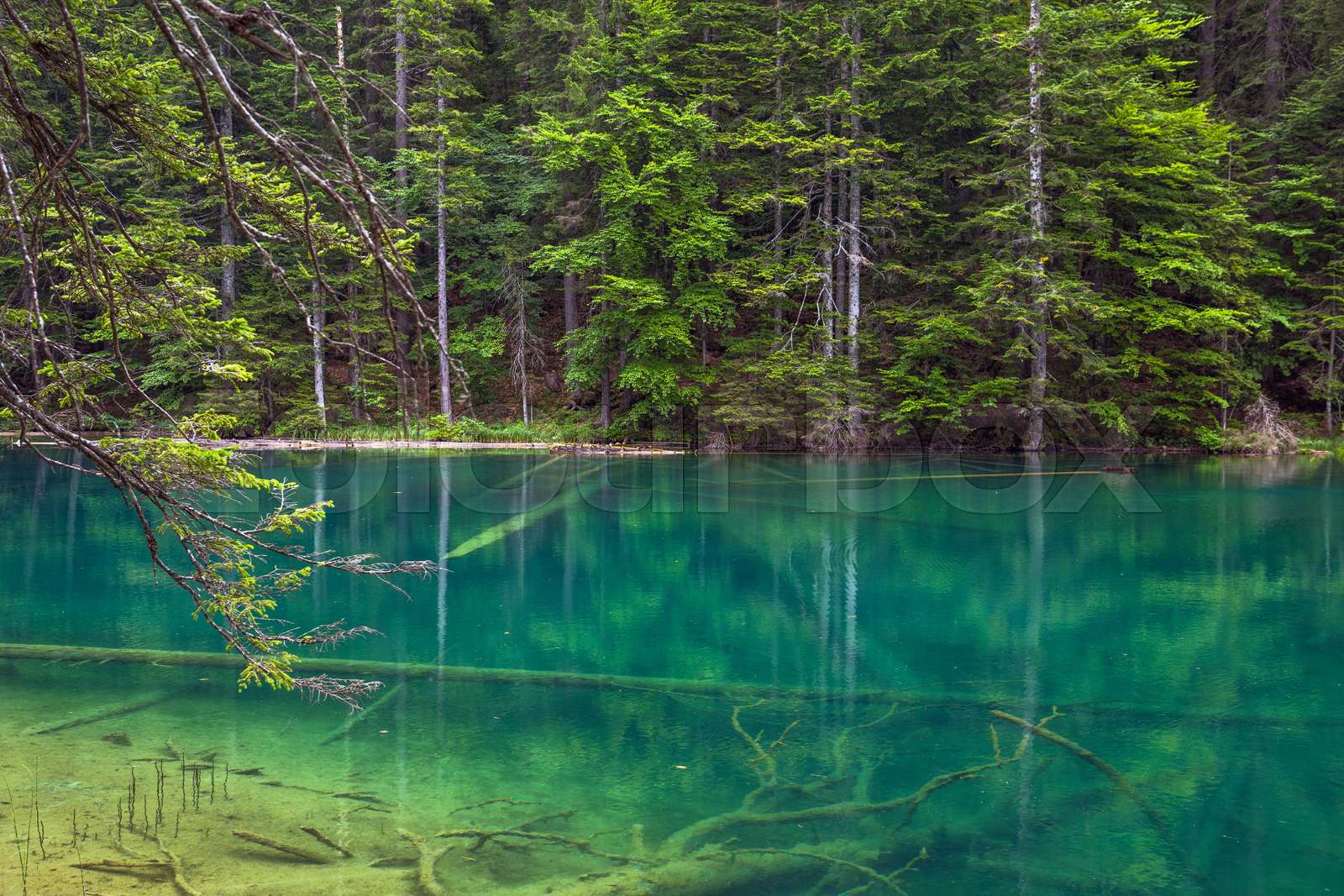 Small Turquoise Alpine Lake Reflections | Stock image | Colourbox