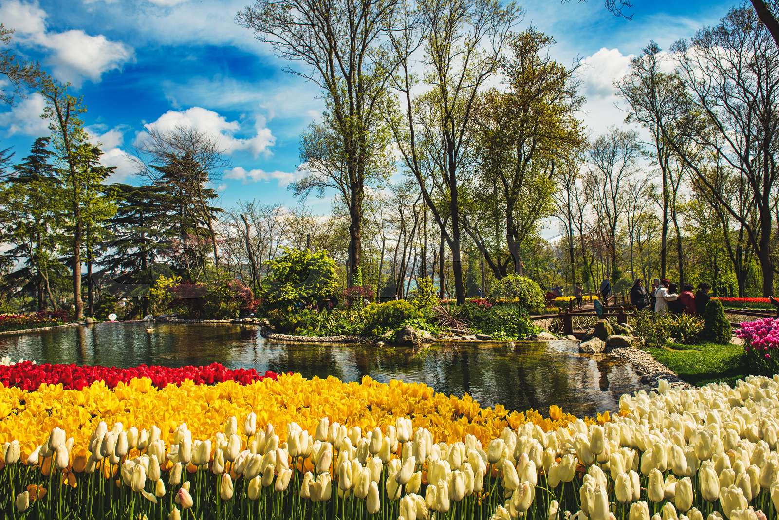 Emirgan Park, Istanbul | Stock image | Colourbox