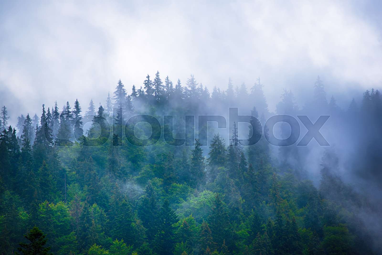 Misty mountain landscape | Stock image | Colourbox
