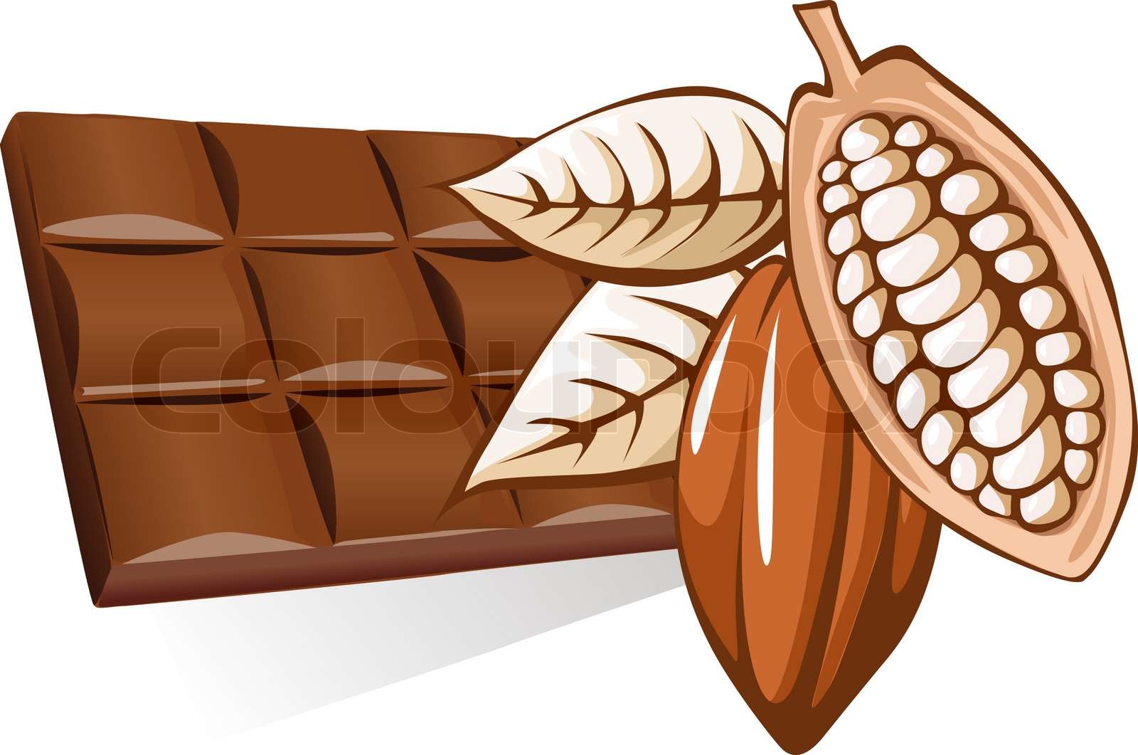 chocolate | Stock vector | Colourbox