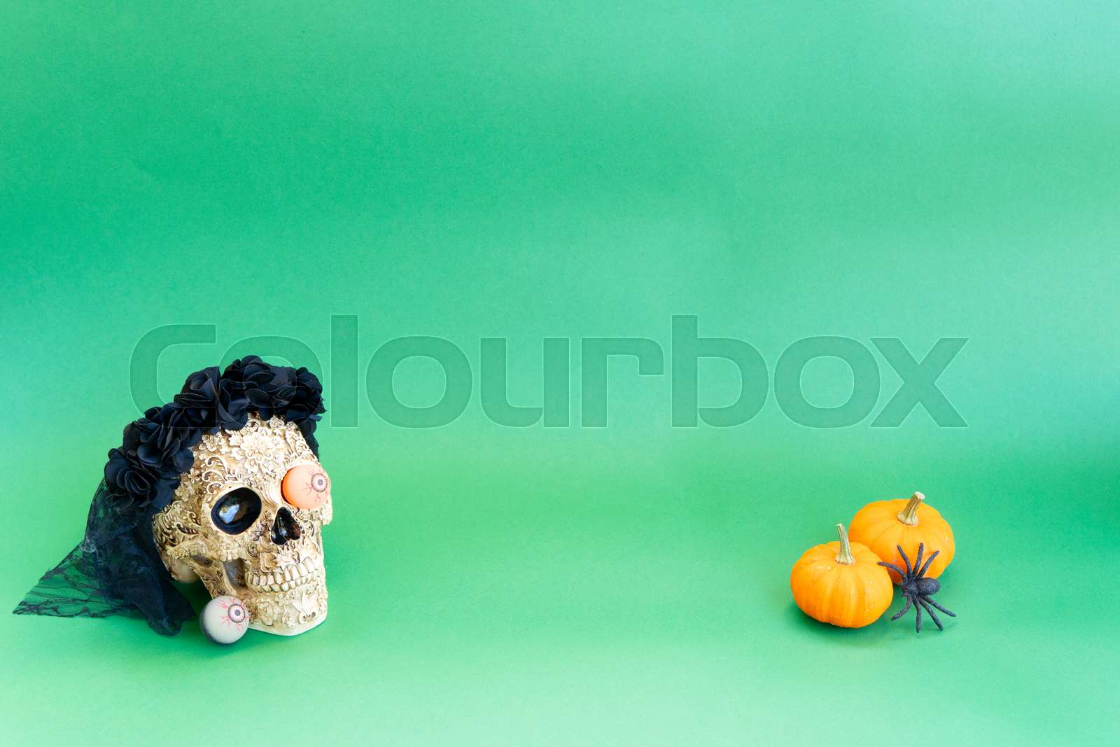 Traditional Dia De Los Muertos Costume